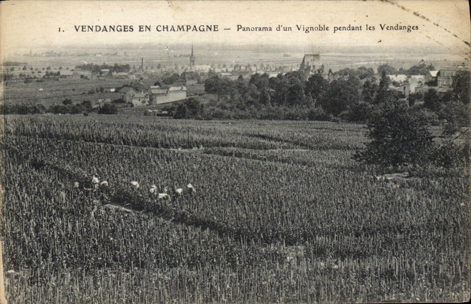 Postal Folclore Vino Vendimia Champaña Panorama de un viñedo durante las vendimias