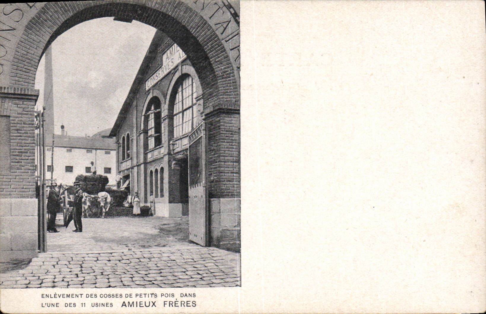 Vintage Postcard Publicity Removal of the garden pea thimbles in one of the 11 factories Amieux Brothers