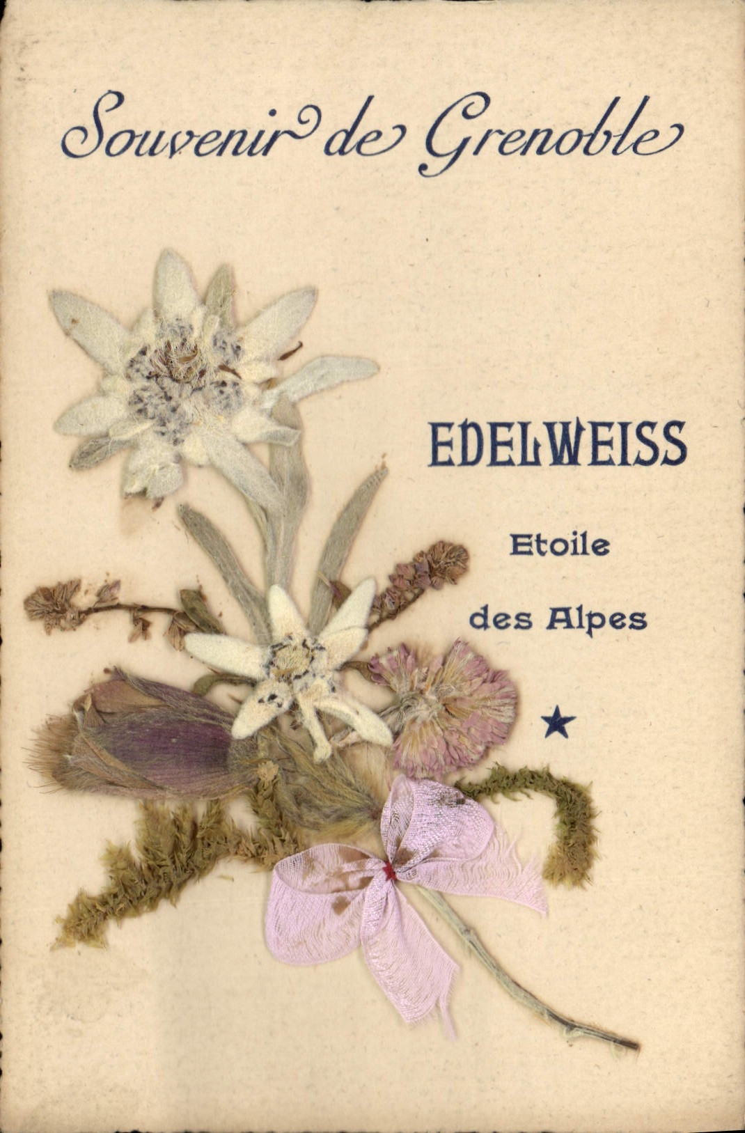 Vintage Postcard Fantasy Flowers sechees Edelweiss Star of the Alps