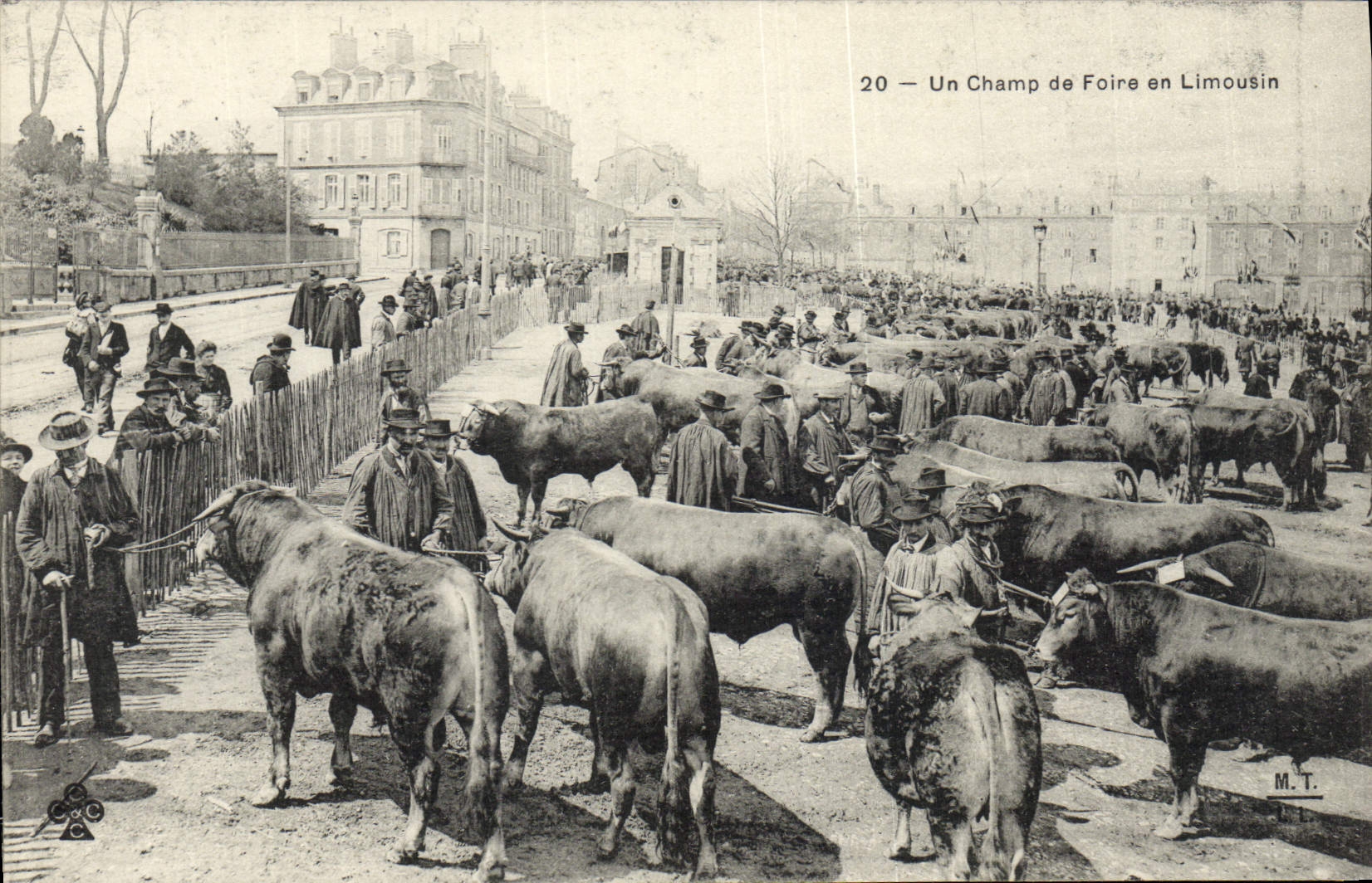CPA Folklore Un champ de foire en Limousin Vaches Marche TOP