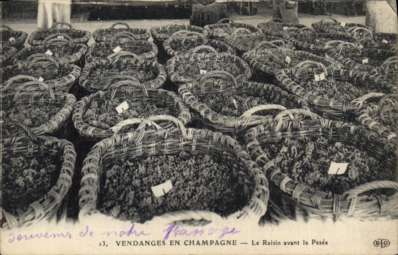 CPA Folklore Vin Vendanges Champagne Le raisin avant la pesee