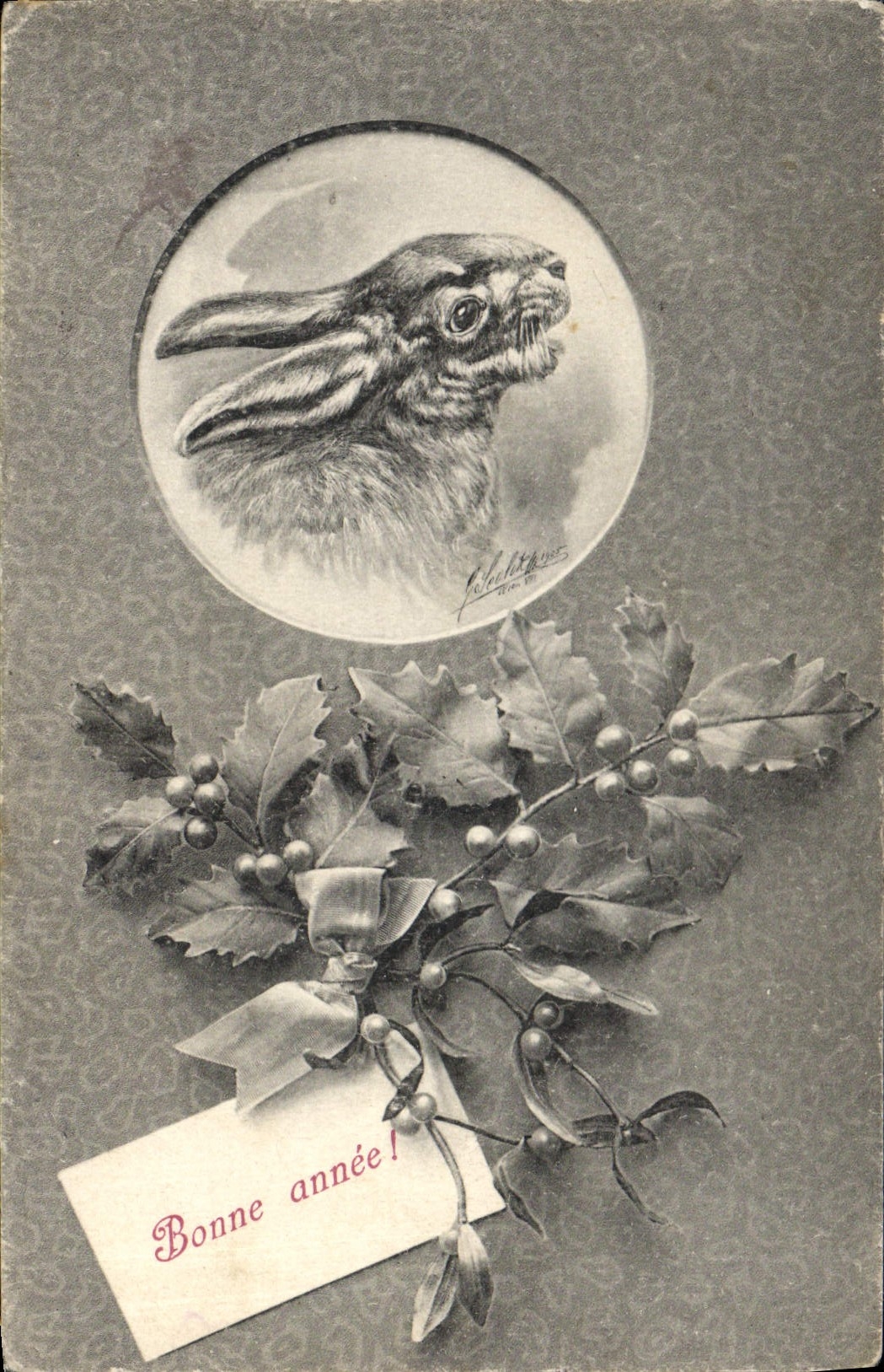 Vintage Postcard Fantasy Illustrator Rabbit