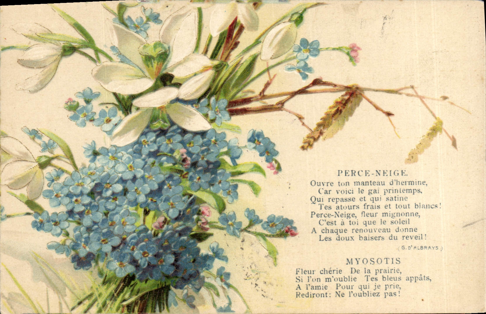 Postal Fantasia Flores Perforador Nieve Miosota