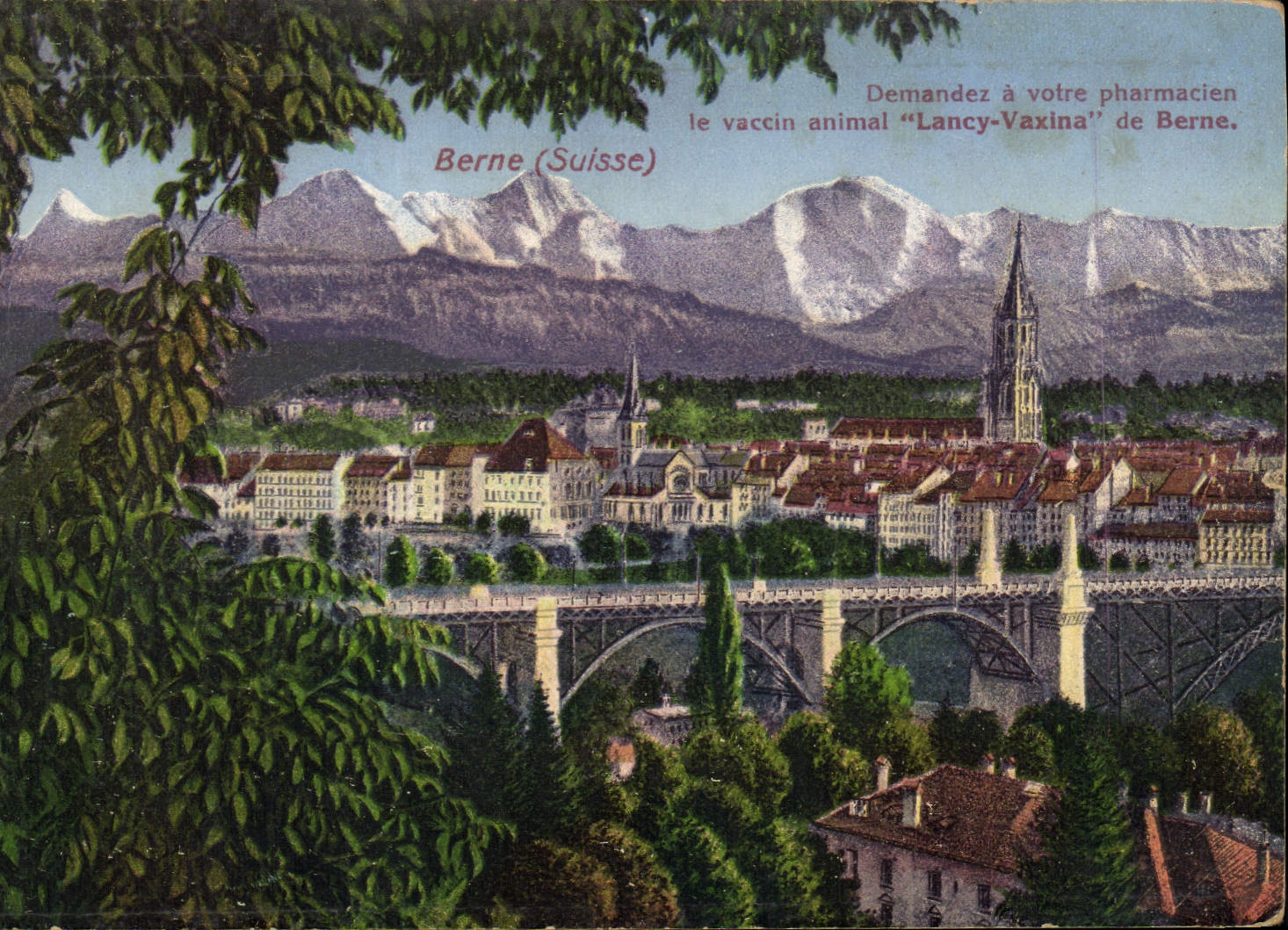 Vintage Postcard Publicity Institute vacinal Swiss Bern Lancy Vaxina