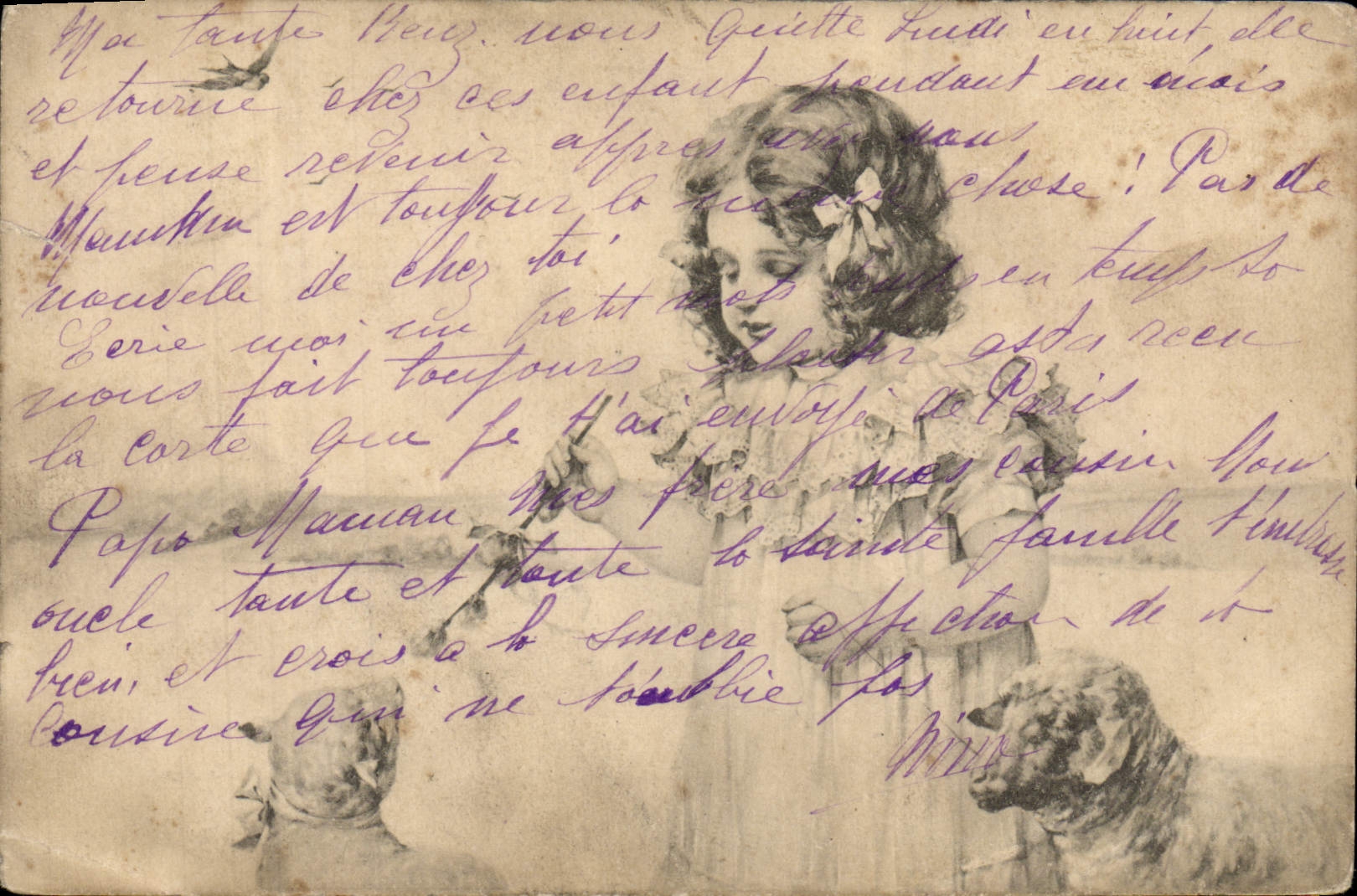 Vintage Postcard Fantasy Illustrator Child Sheep