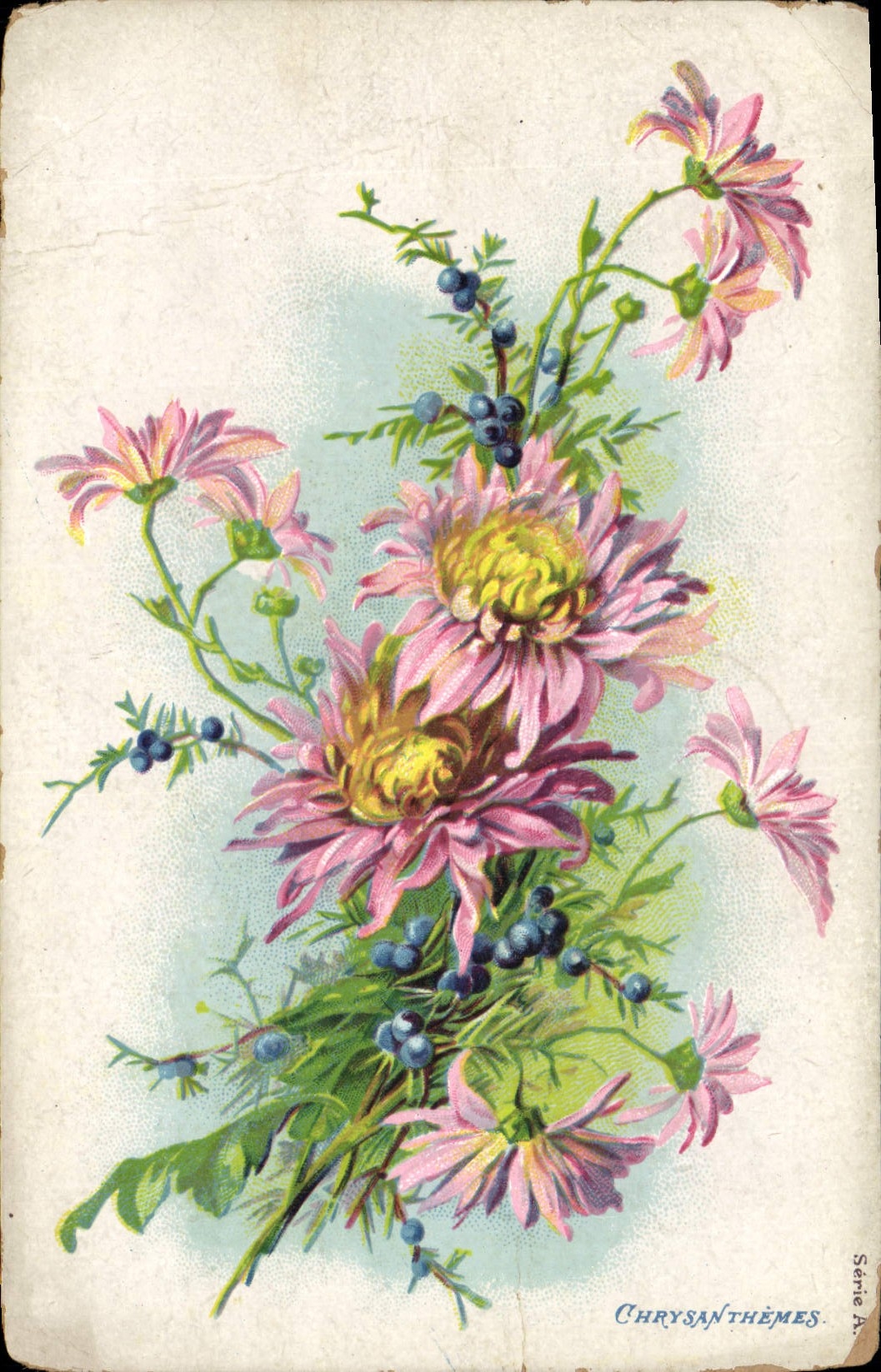 Vintage Postcard Fantasy Flowers Chrysanthemums