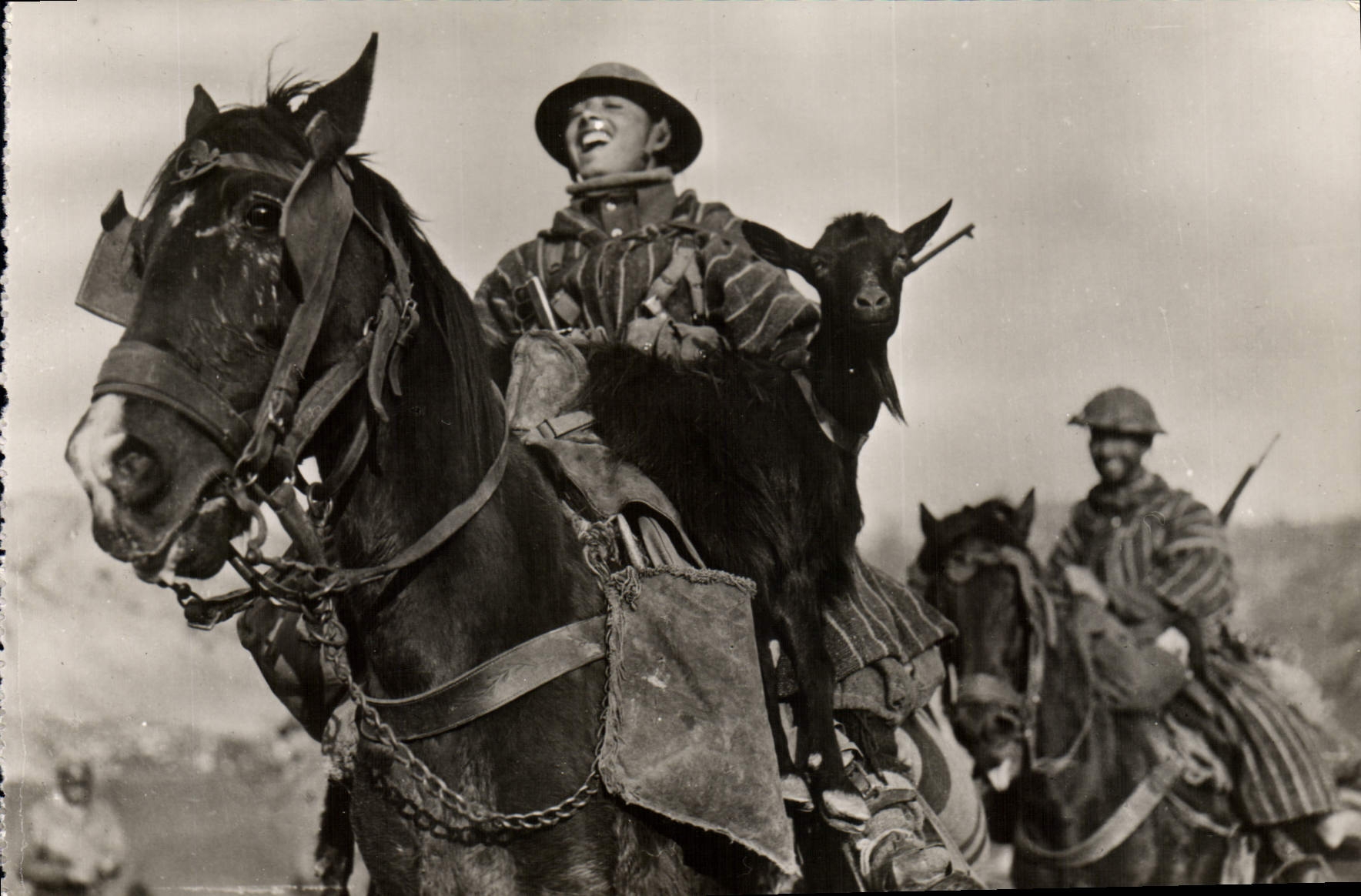 Modern Postcard Militaria Of Tunis has His Goumiers going up in Chevre line
