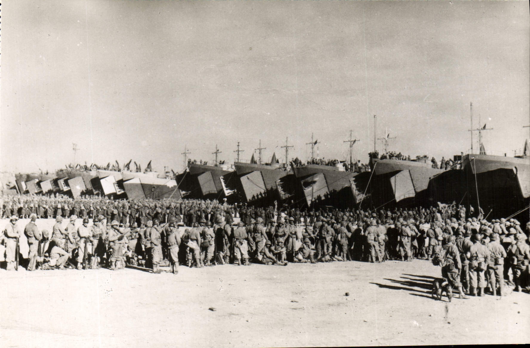 CPM Militaria De Tunis a Sienne Depart du CEF pour l'Italie Devant chaque transport les sections stationnent