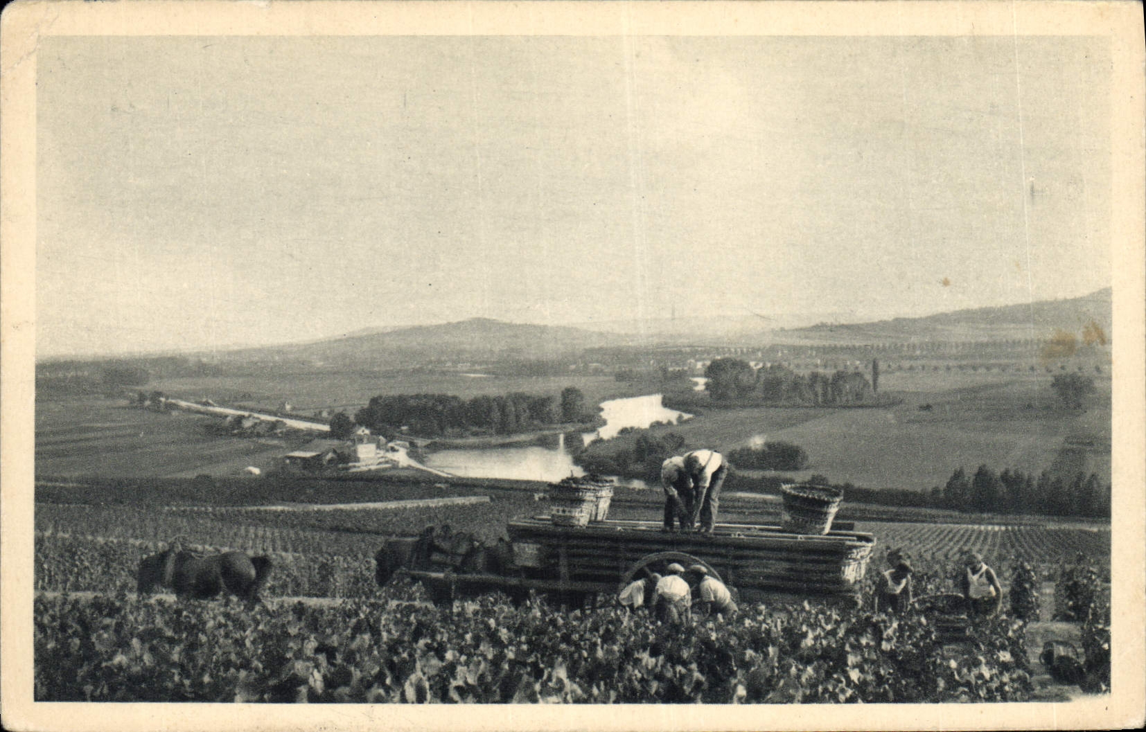 Vintage Postcard Folklore Wine Vintage Champagne Moet & Chandon Scene of vintage has Hautvillers