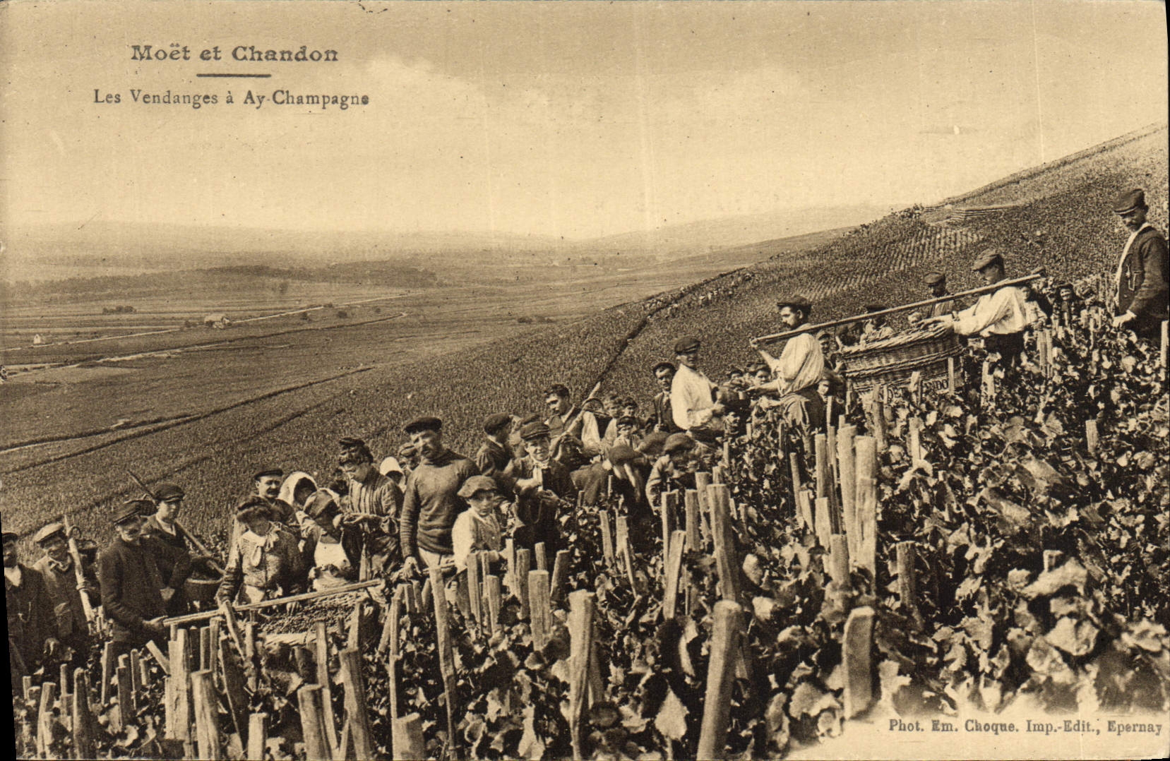 CPA Folklore Vin Vendange Champagne Moet & Chandon Les vendanges a Ay Champagne