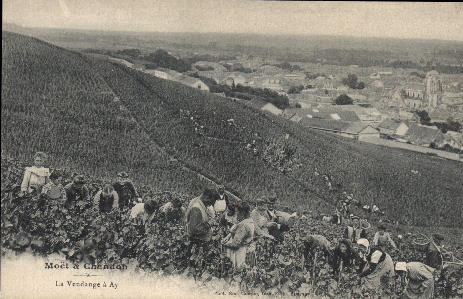 Vintage Postcard Folklore Wine Vintage Moet & Chandon Champagne the vintage has Ay