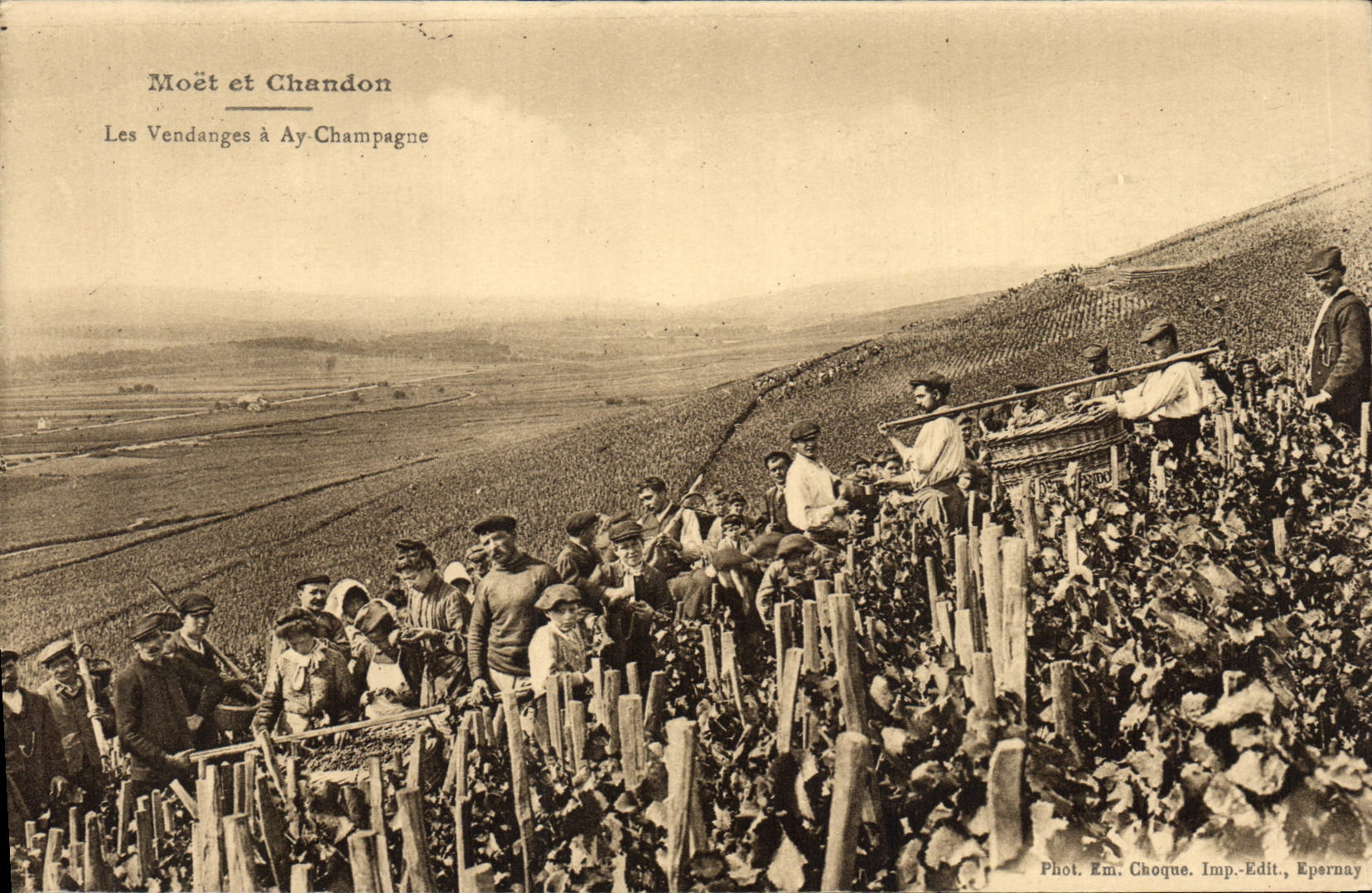 CPA Folklore Vin Vendange Champagne Moet & Chandon Les vendanges a Ay en Champagne