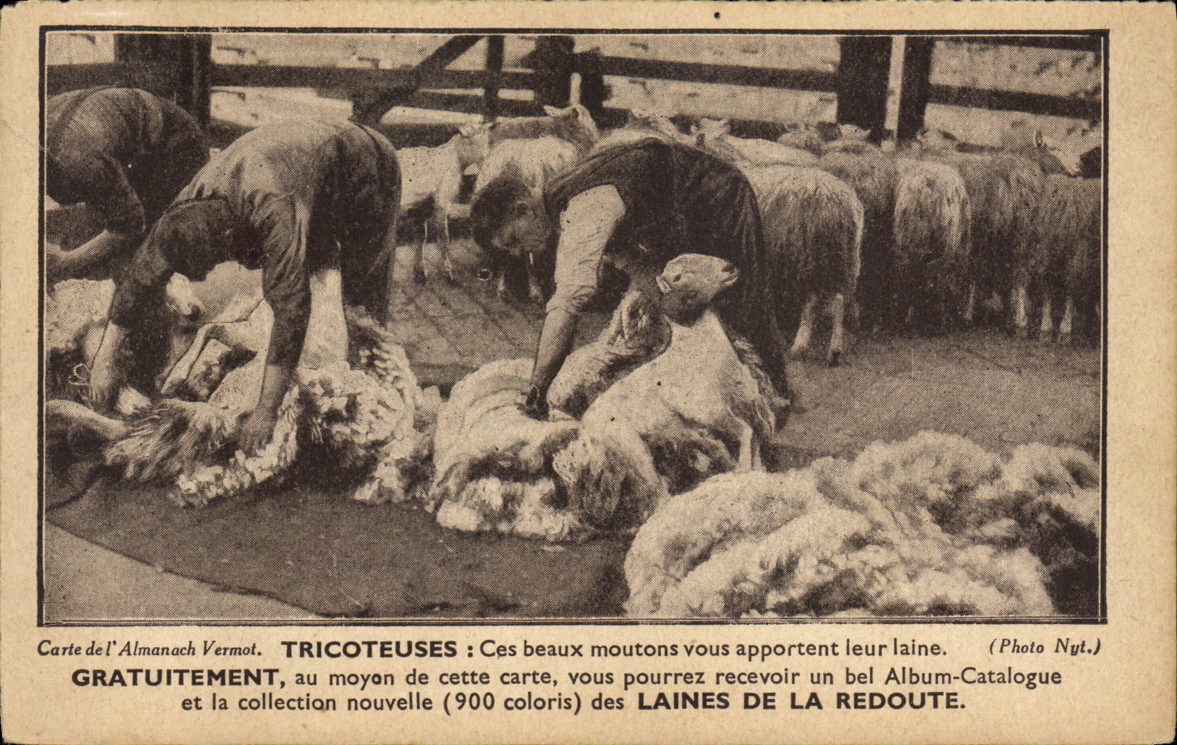 CPA Publicite Tricoteuses Laines de la Redoute Moutons