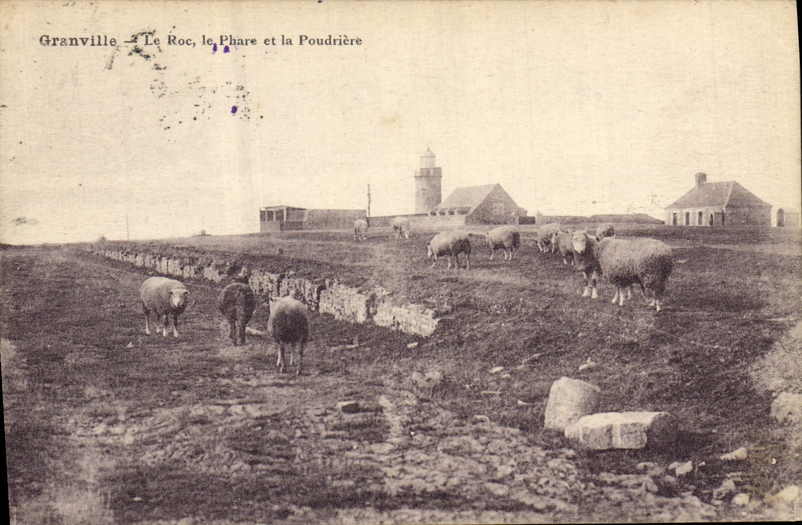 Vintage Postcard Granville Headlight the Rock the headlight and the explosives magazine Sheep