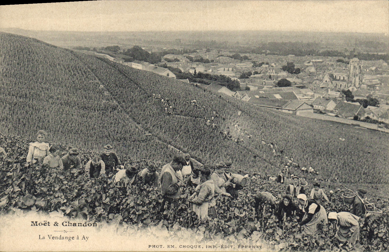 Vintage Postcard Folklore Wine Vineyard Grape harvest Champagne Moet and Chandon the vintage has Ay