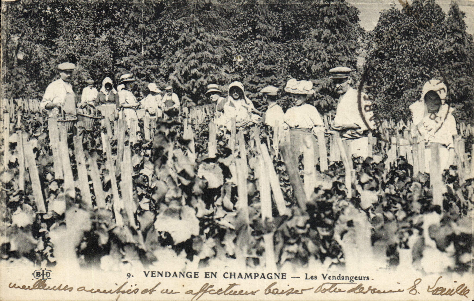 Vintage Postcard Folklore Wine Vineyard Grape harvest Champagne the vintagers SIGNAL