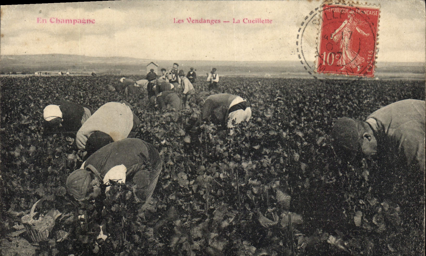 Vintage Postcard Folklore Wine Vineyard Grape harvest Champagne the gathering