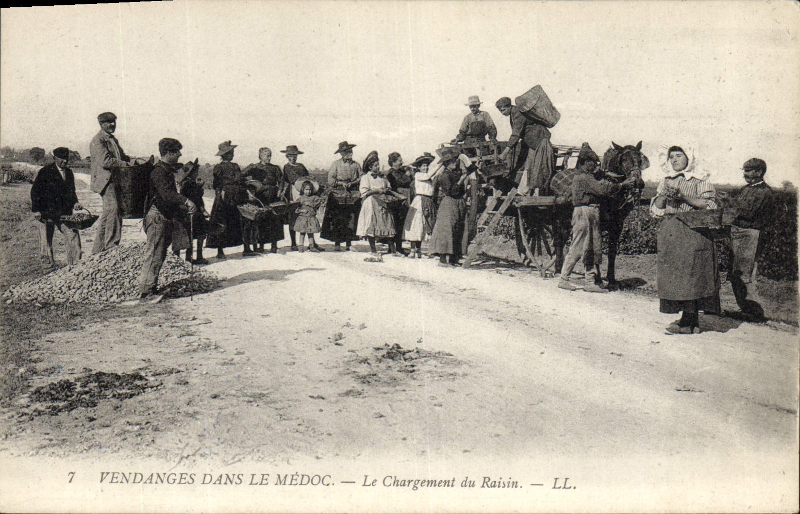 Vintage Postcard Folklore Wine Vineyard Grape harvest in the Medoc the loading of the grape SIGNAL