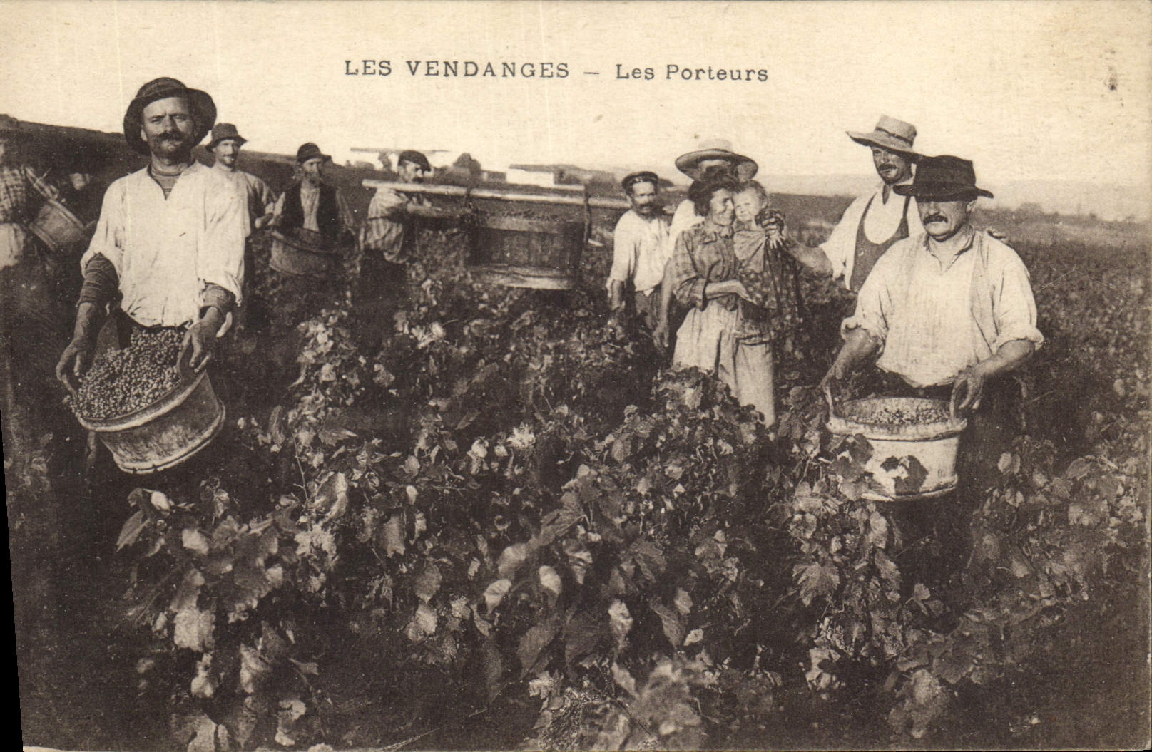 Vintage Postcard Folklore Wine Vineyard Grape harvest carriers
