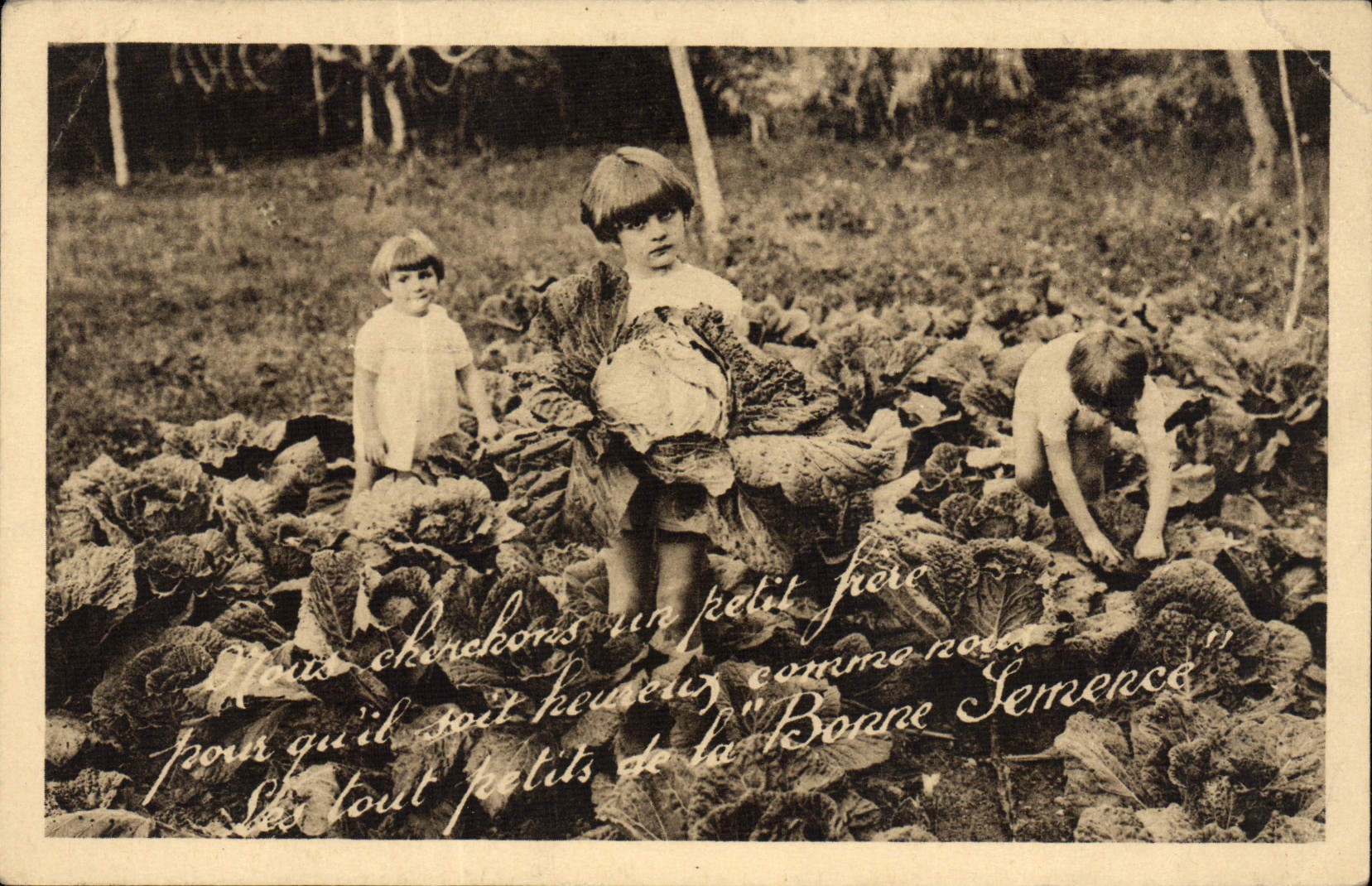 Vintage Postcard Publicity Good Seed Children