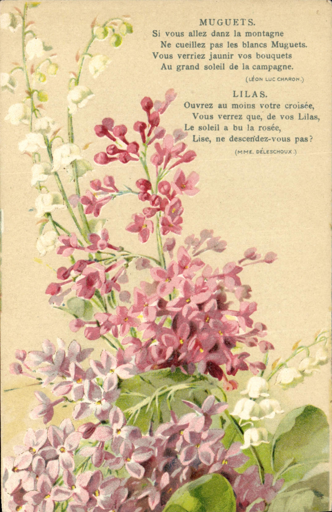 Postal Fantasia Flores Lirios del valle Lila