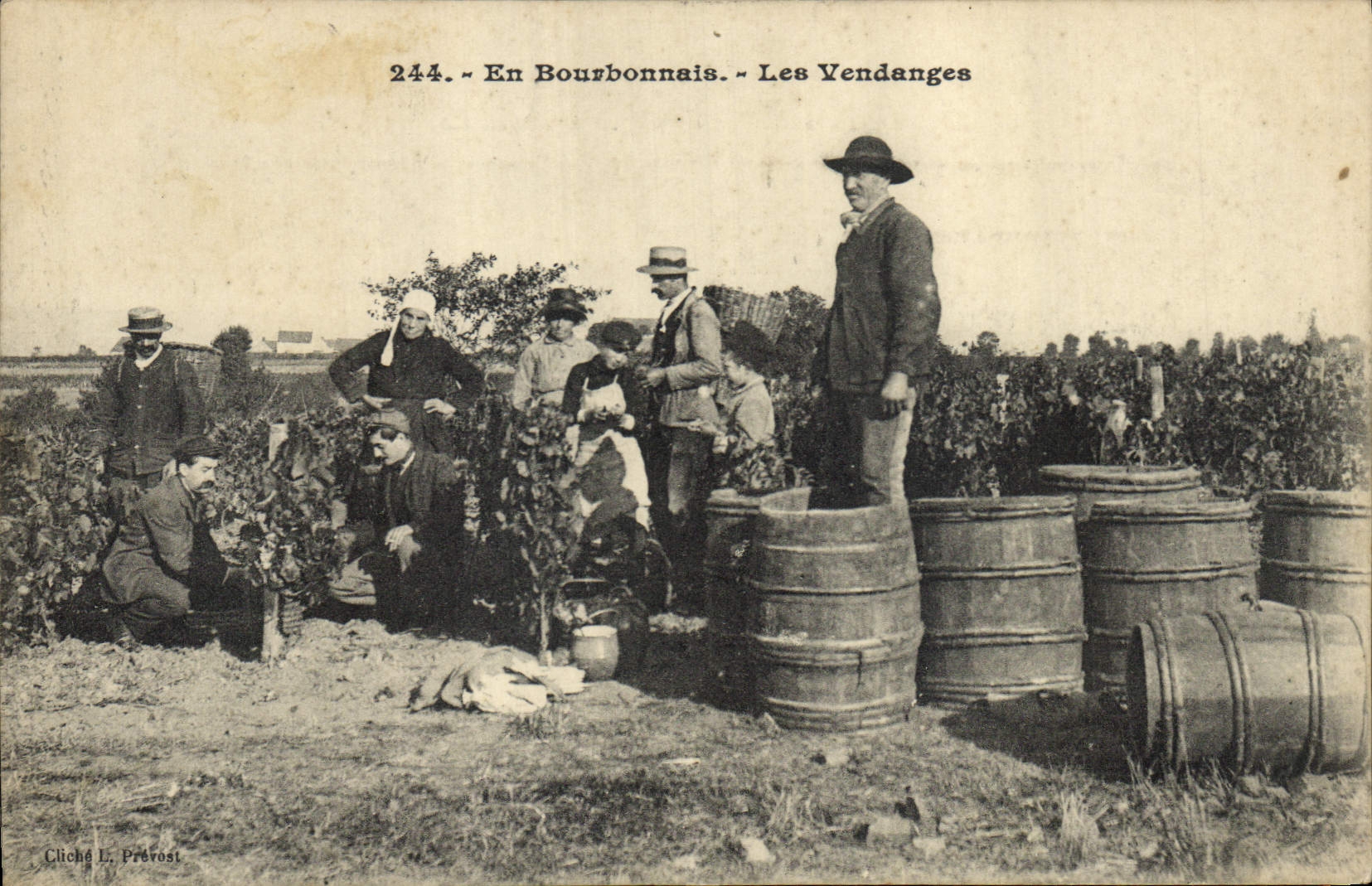 Vintage Postcard Wine Grape harvest in Bourbonnais SIGNAL