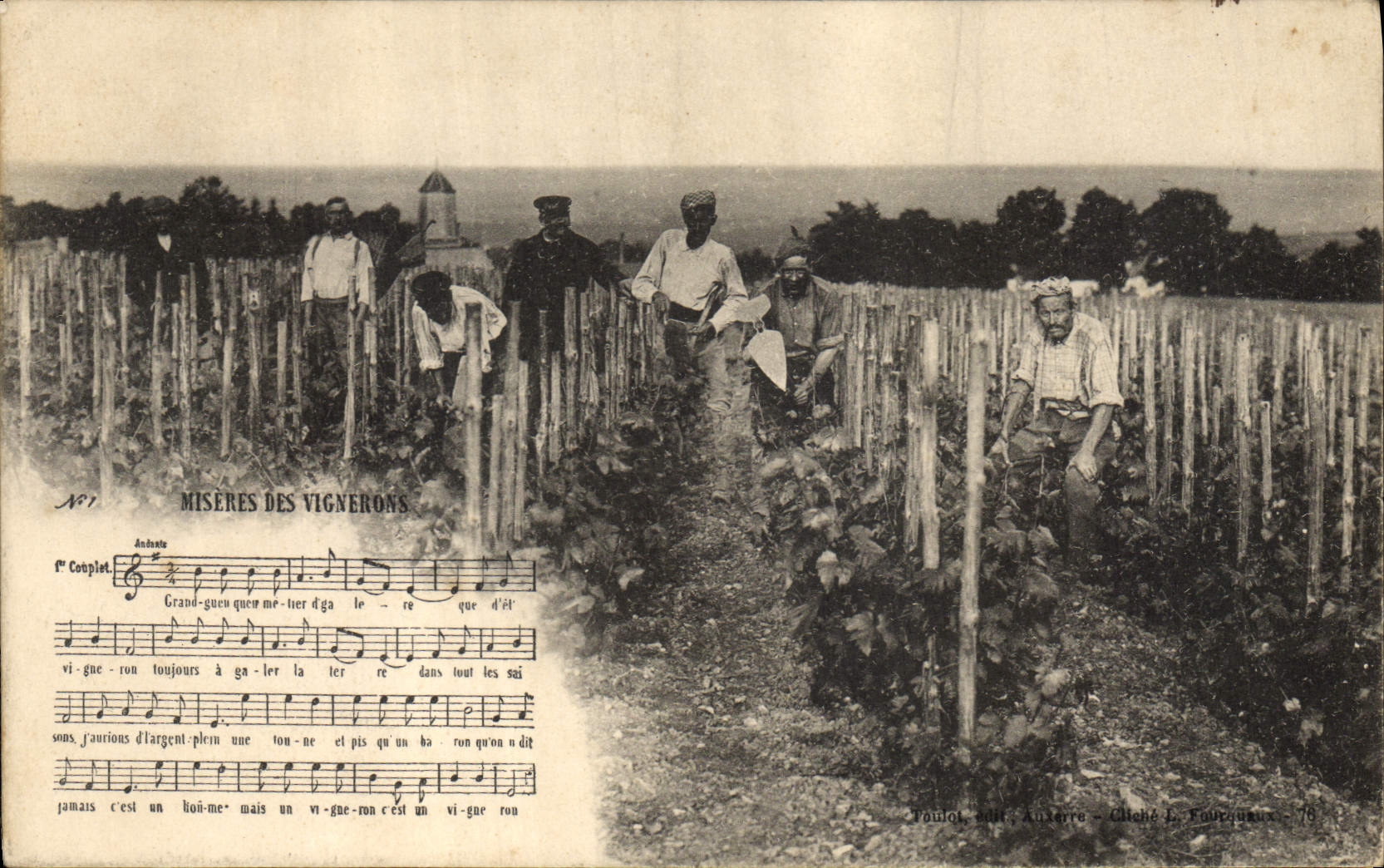 Vintage Postcard Wine Grape harvest Miseries of vine growers SIGNAL
