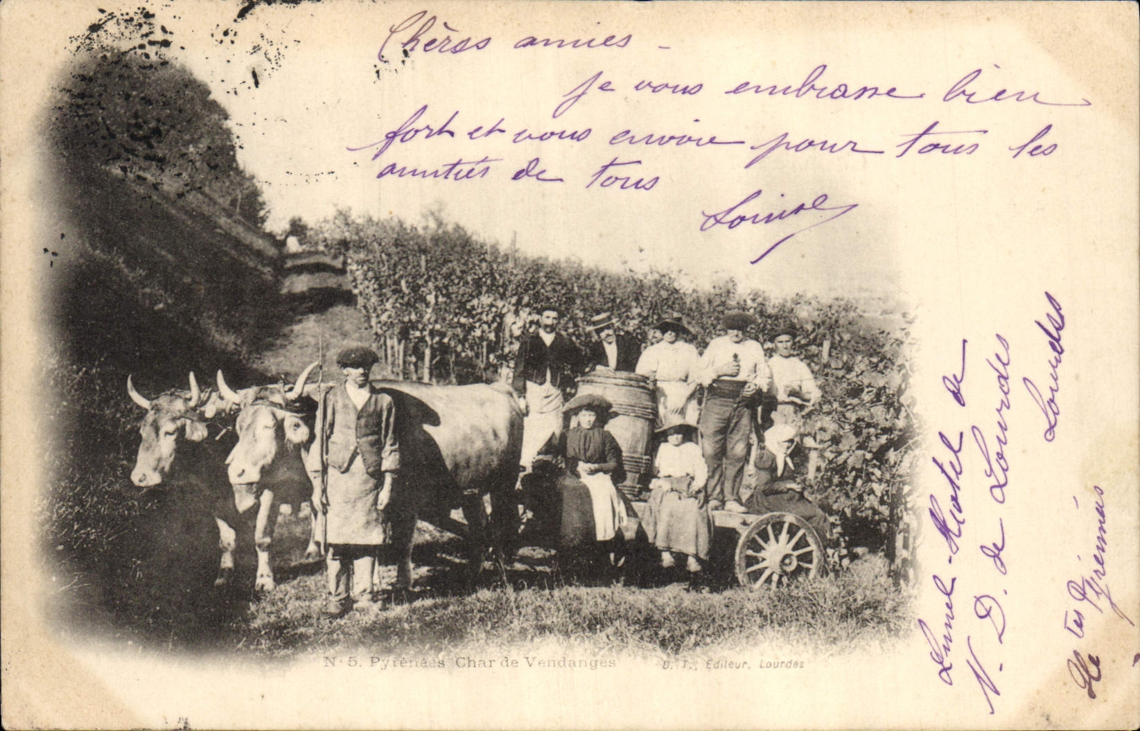 Vintage Postcard Wine Grape harvest the Pyrenees Tank of Grape harvest SIGNAL