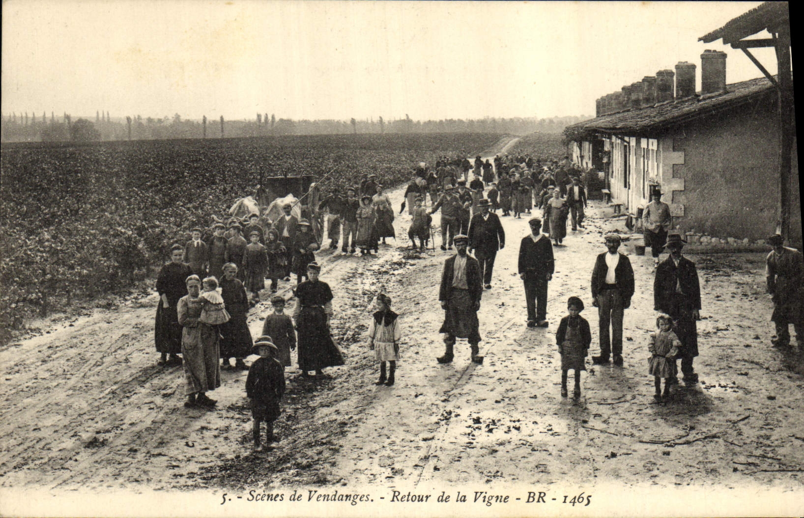 Postal Vino Escenas de Vendimias Vuelta de la vid CUMBRE