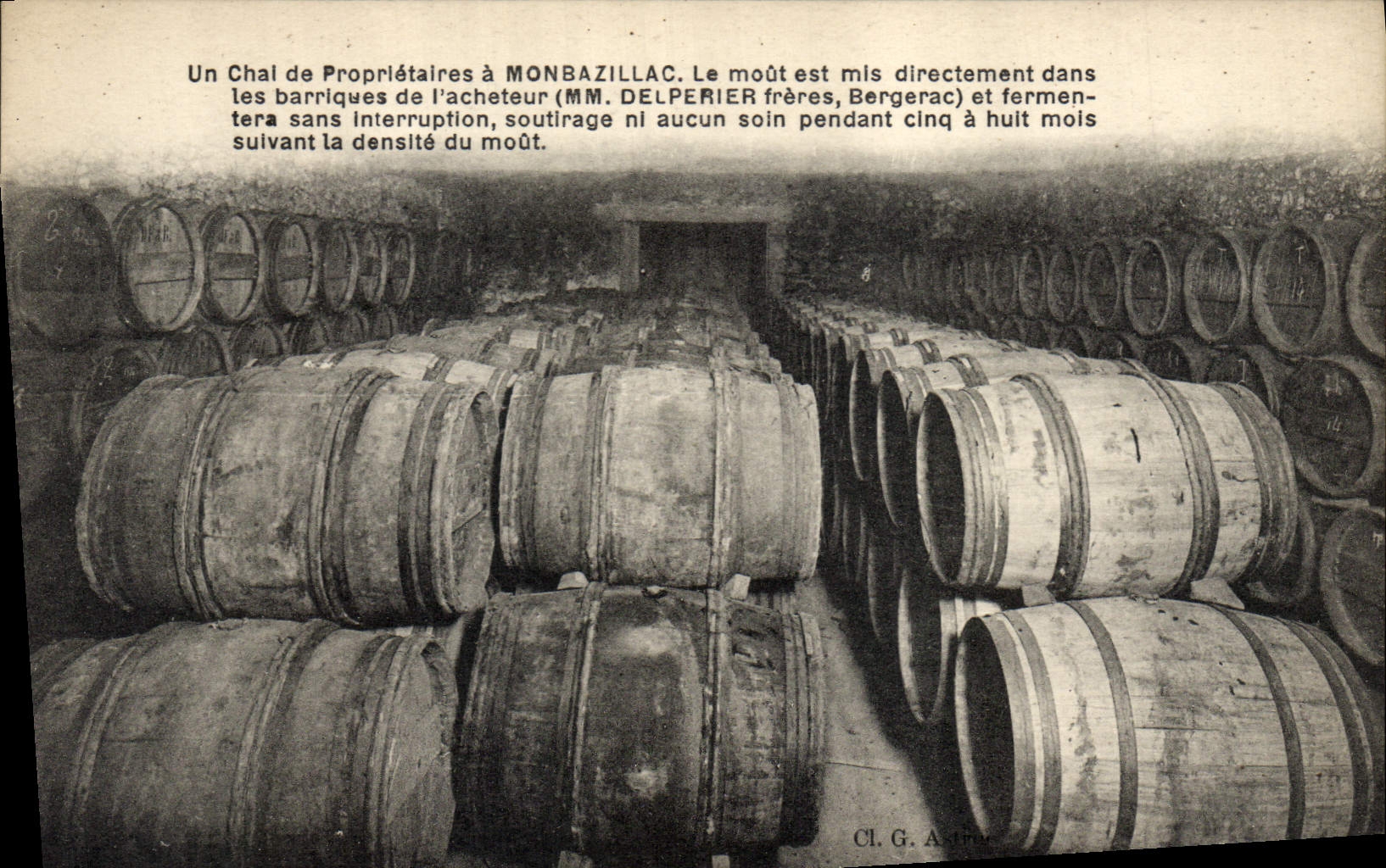 Vintage Postcard Vin Grape harvest a Wine storehouse of owners has Monbazillac Delperier