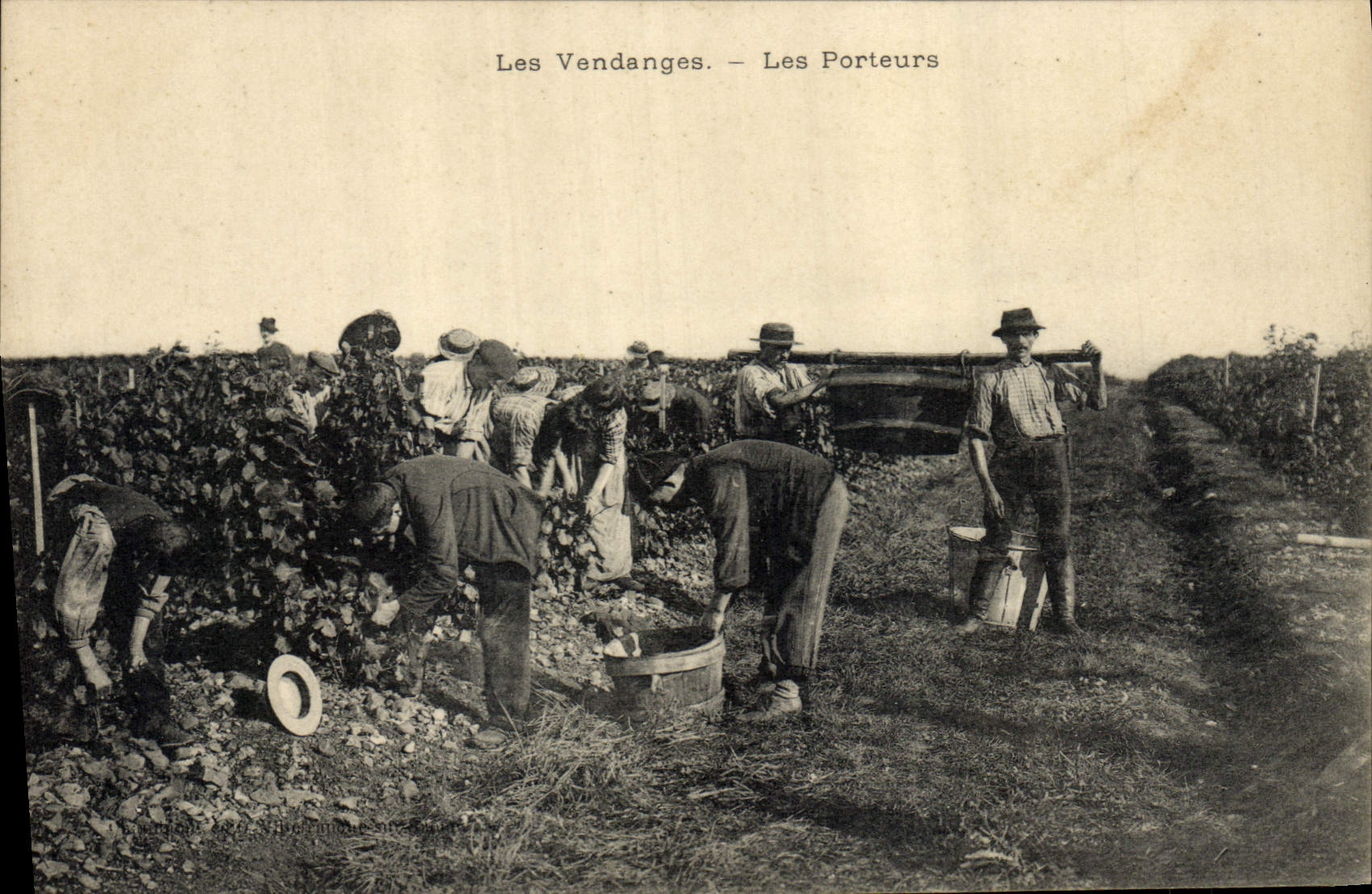 Vintage Postcard Wine Grape harvest the carriers SIGNAL
