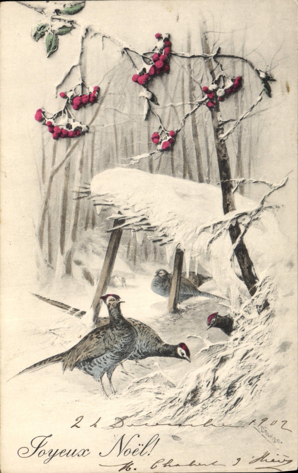 Vintage Postcard Fantasy Birds Christmas Pheasants