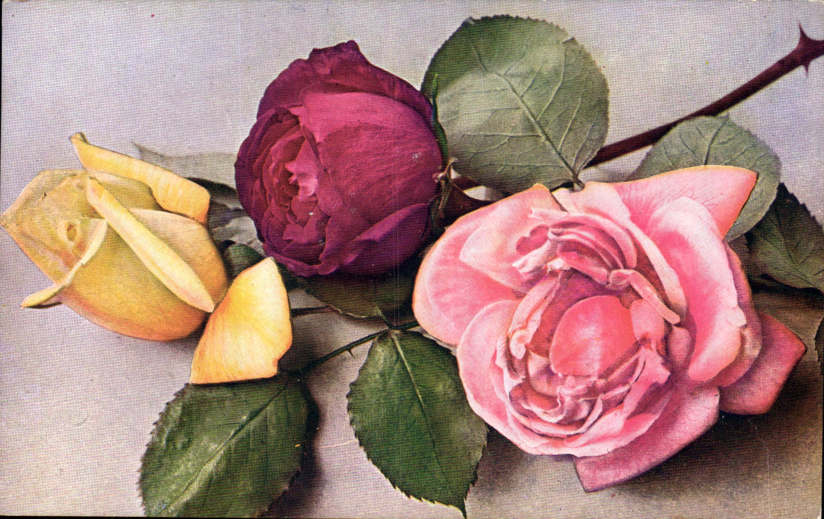 Postal Fantasia Flores Racimo de rosas