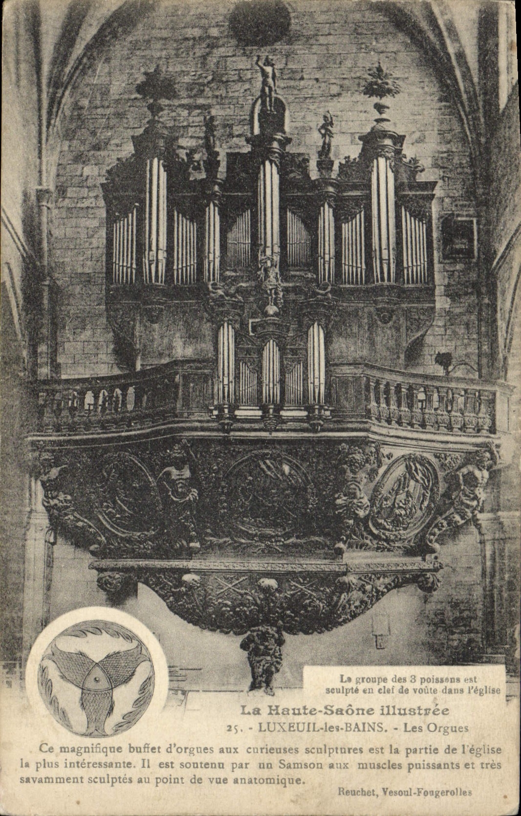 CPA Orgue Luxeuil les Bains Les orgues