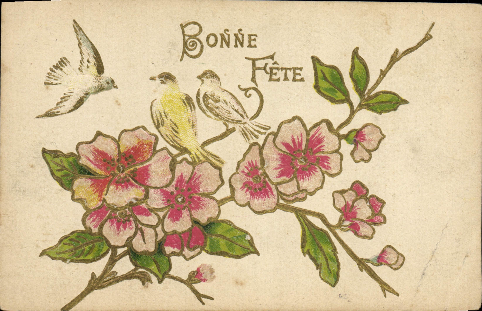 CPA Fantaisie Fleurs Oiseaux 