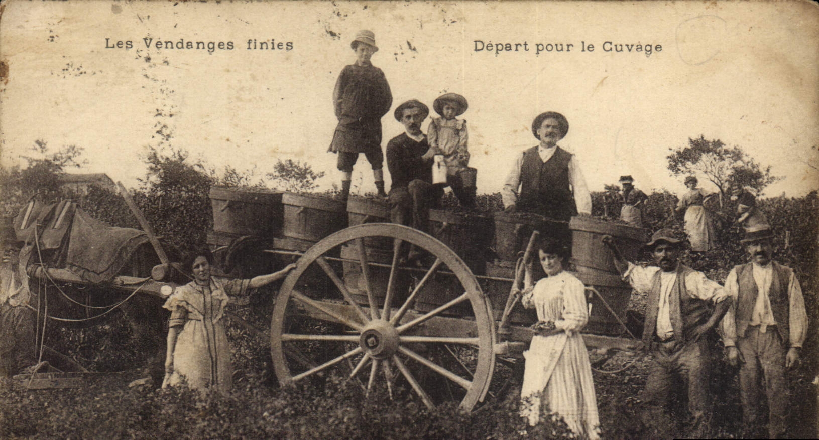 CPA Vin Les Vendanges finies Depart pour le cuvage TOP
