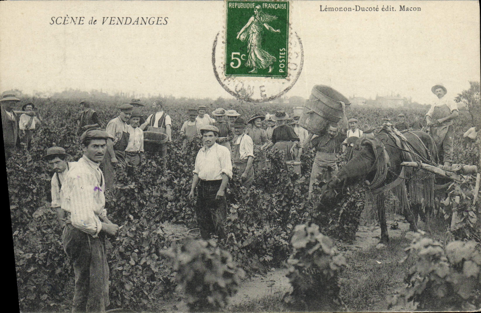 CPA Vin Vendanges TOP