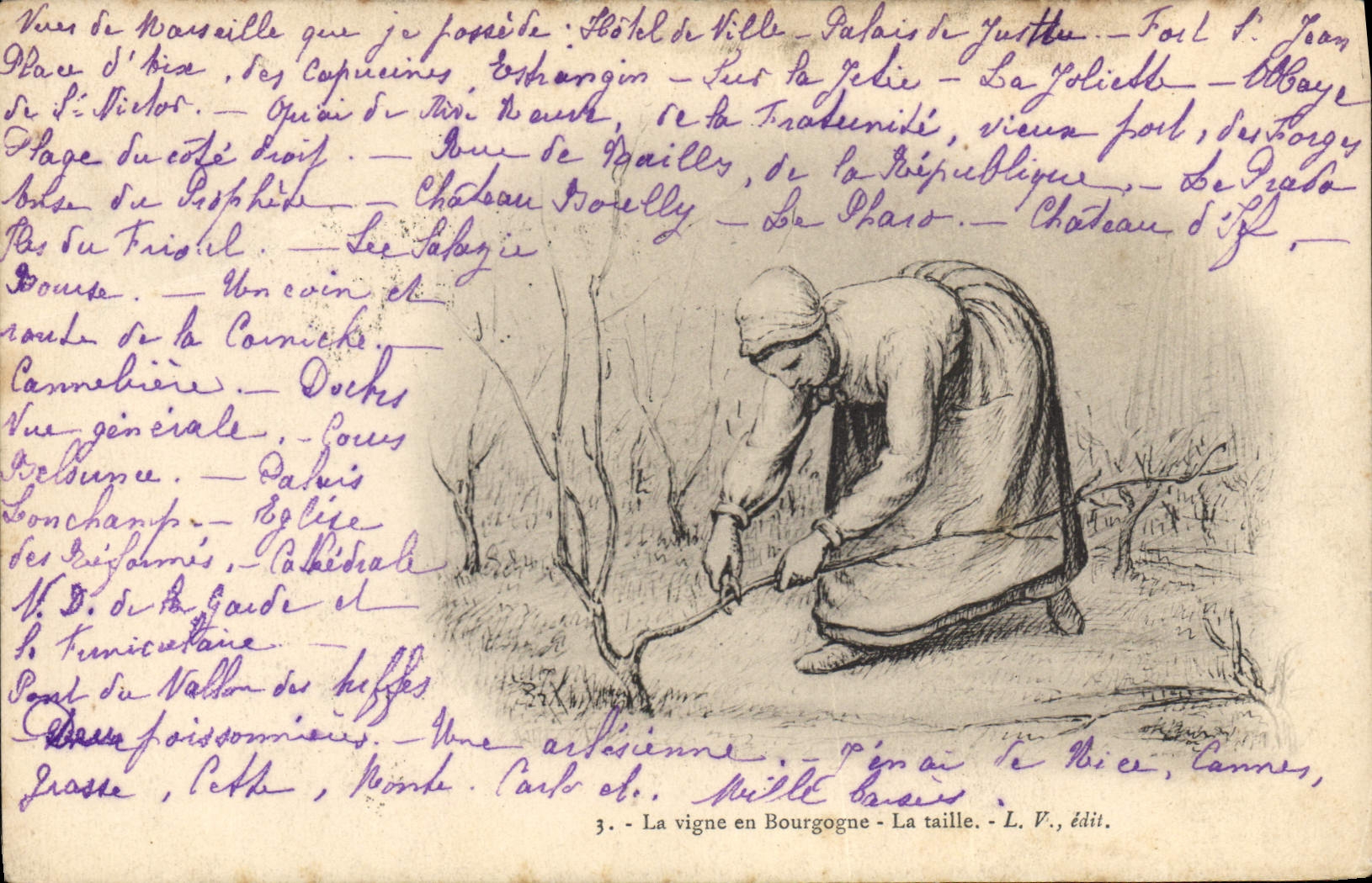 Postal Vino Vendimias la vid en Borgoña lo está cortada