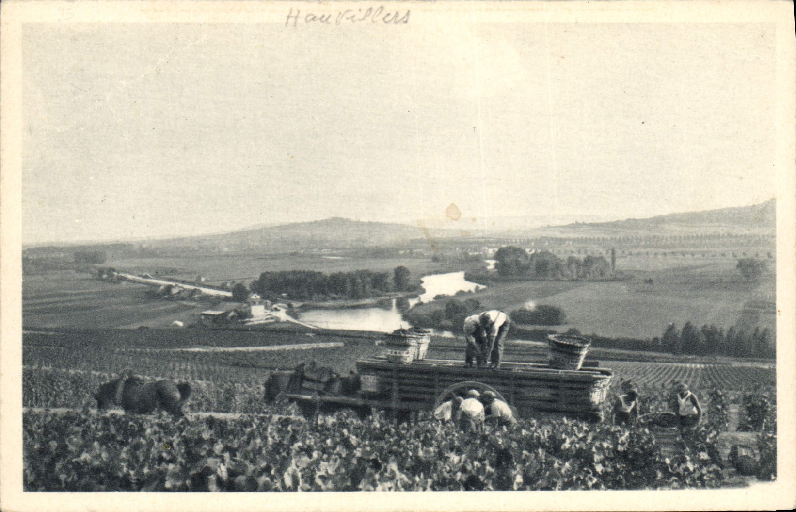 CPA Vin Vendanges Scene de vendange a Hautvillers