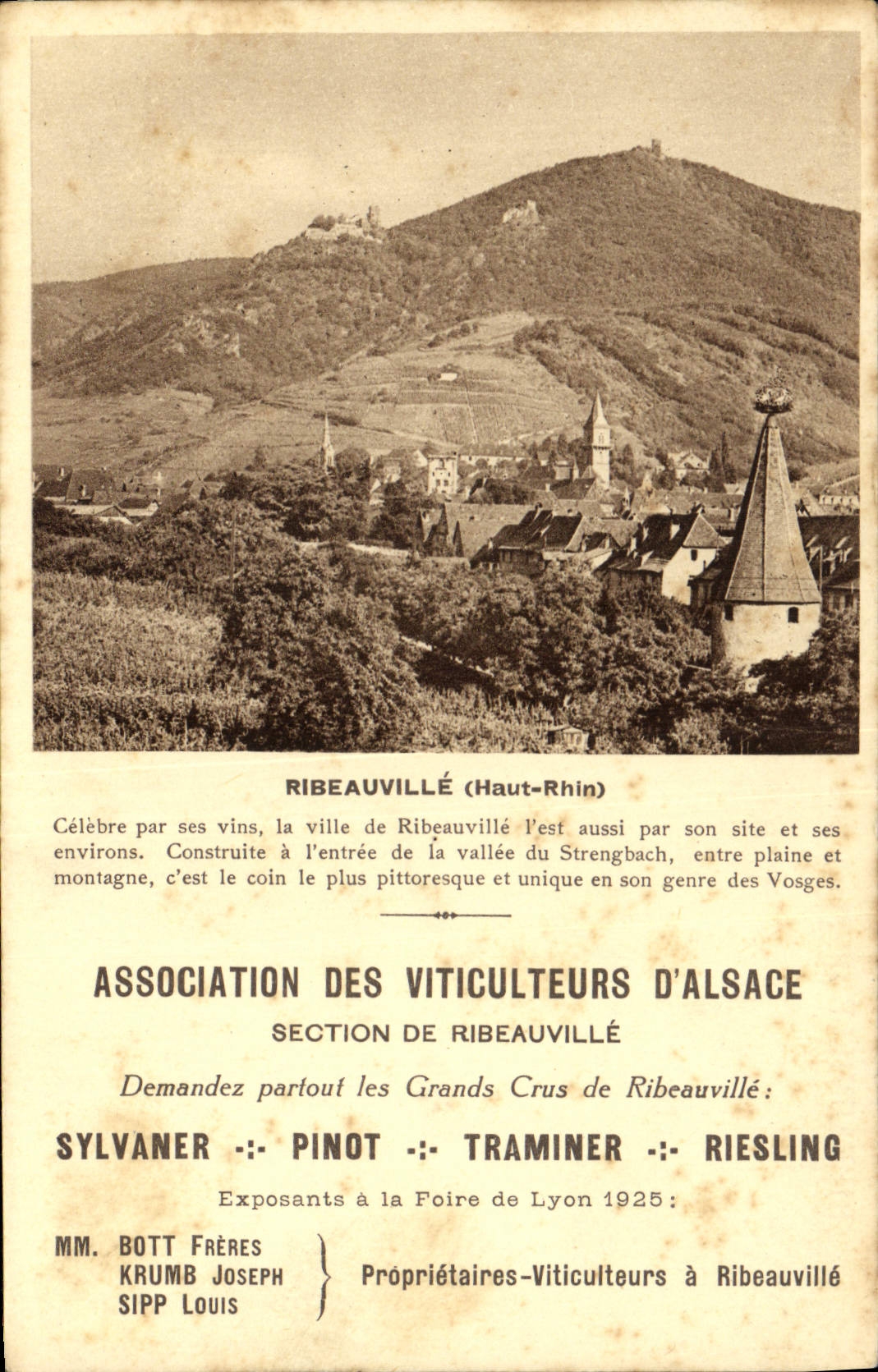 CPA Publicite Ribeauville Association des Viticulteurs d'Alsace Sylvaner Pinot Traminer Riesling
