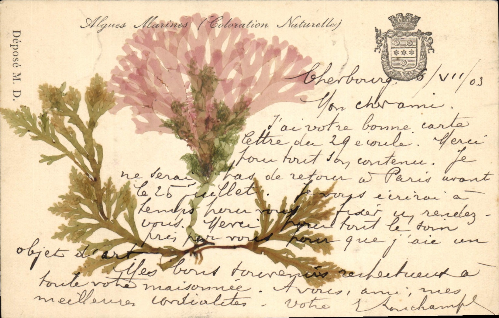 CPA Fantaisie Fleurs sechees Algues marines Coloration naturelle