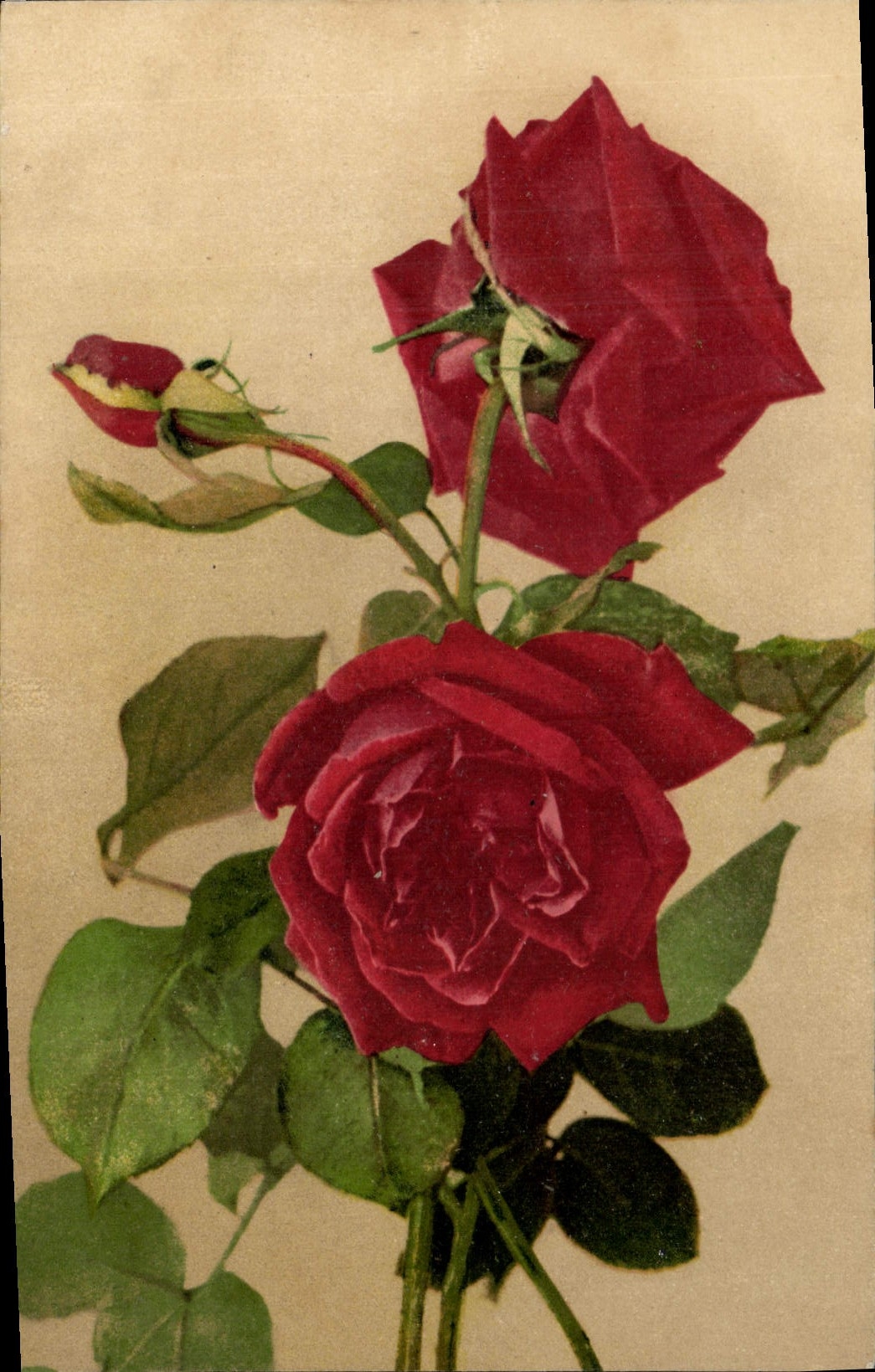 CPA Fantaisie Fleurs 