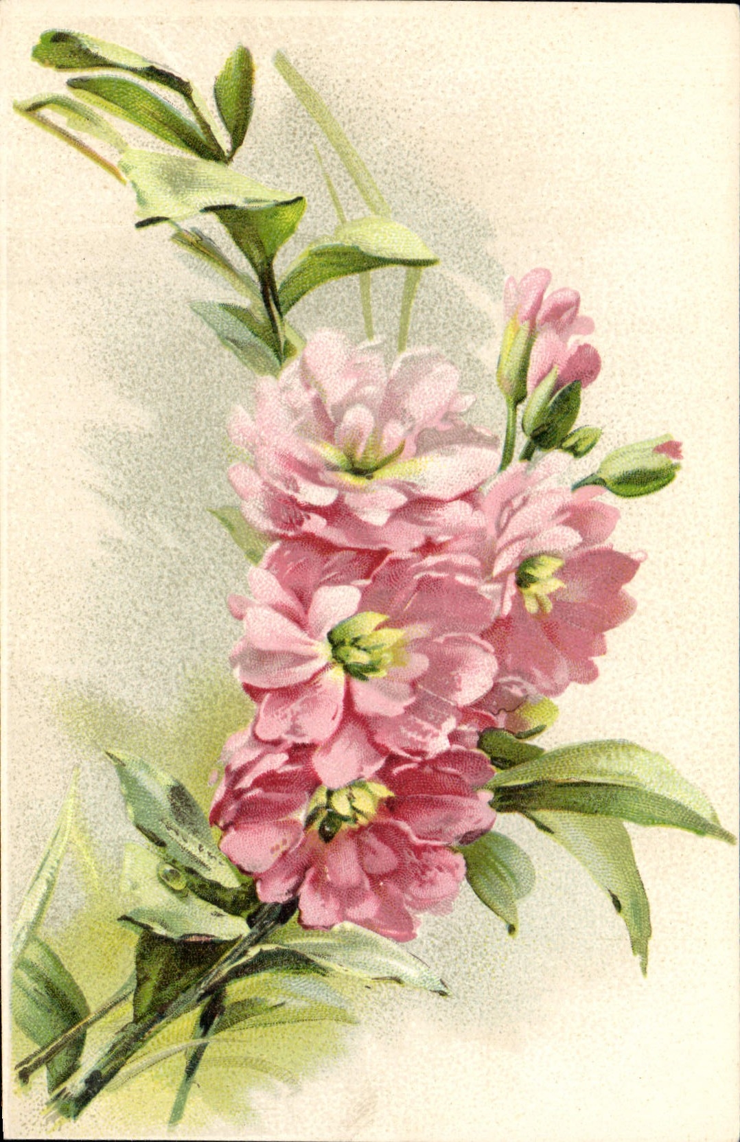 CPA Fantaisie Fleurs 