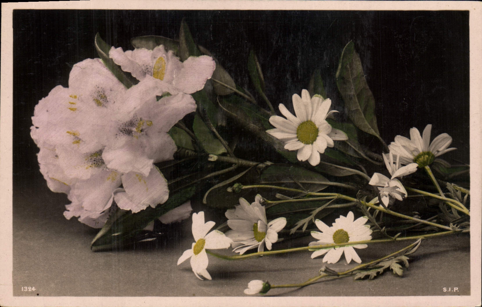 CPA Fantaisie Fleurs 