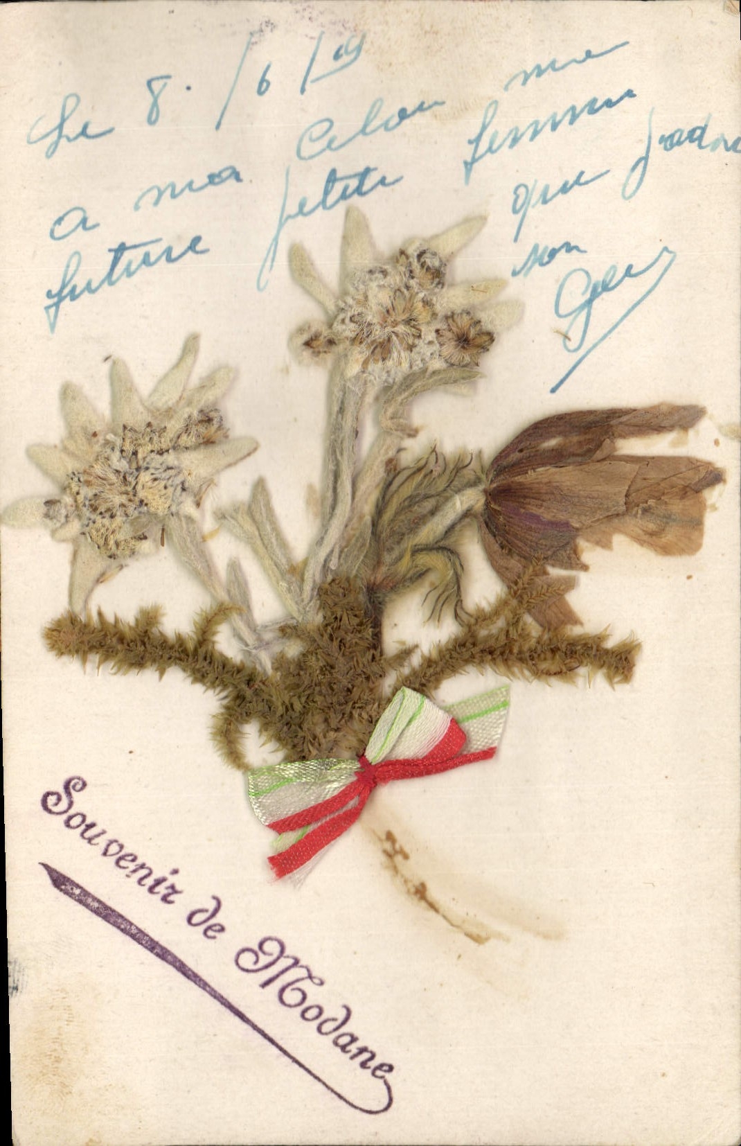Vintage Postcard Fantasy Flowers sechees Modane