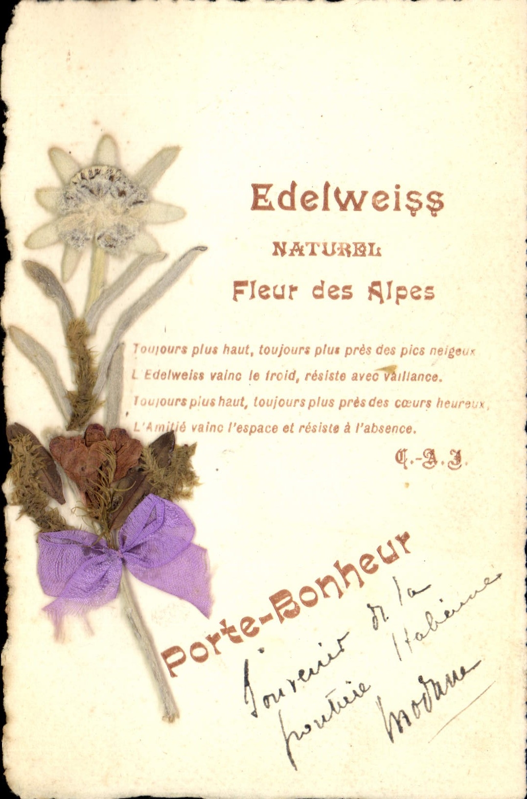 CPA Fantaisie Fleurs sechees Edelweiss Fleur des Alpes
