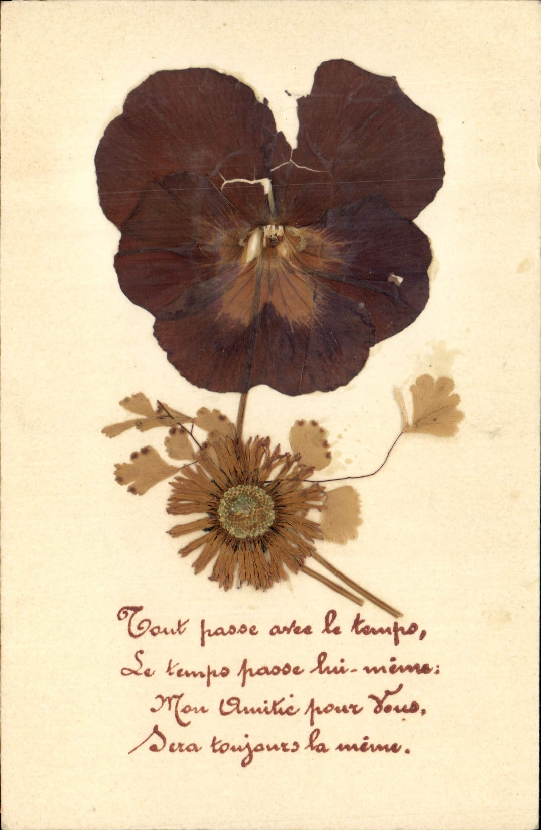 CPA Fantaisie Fleurs sechees 