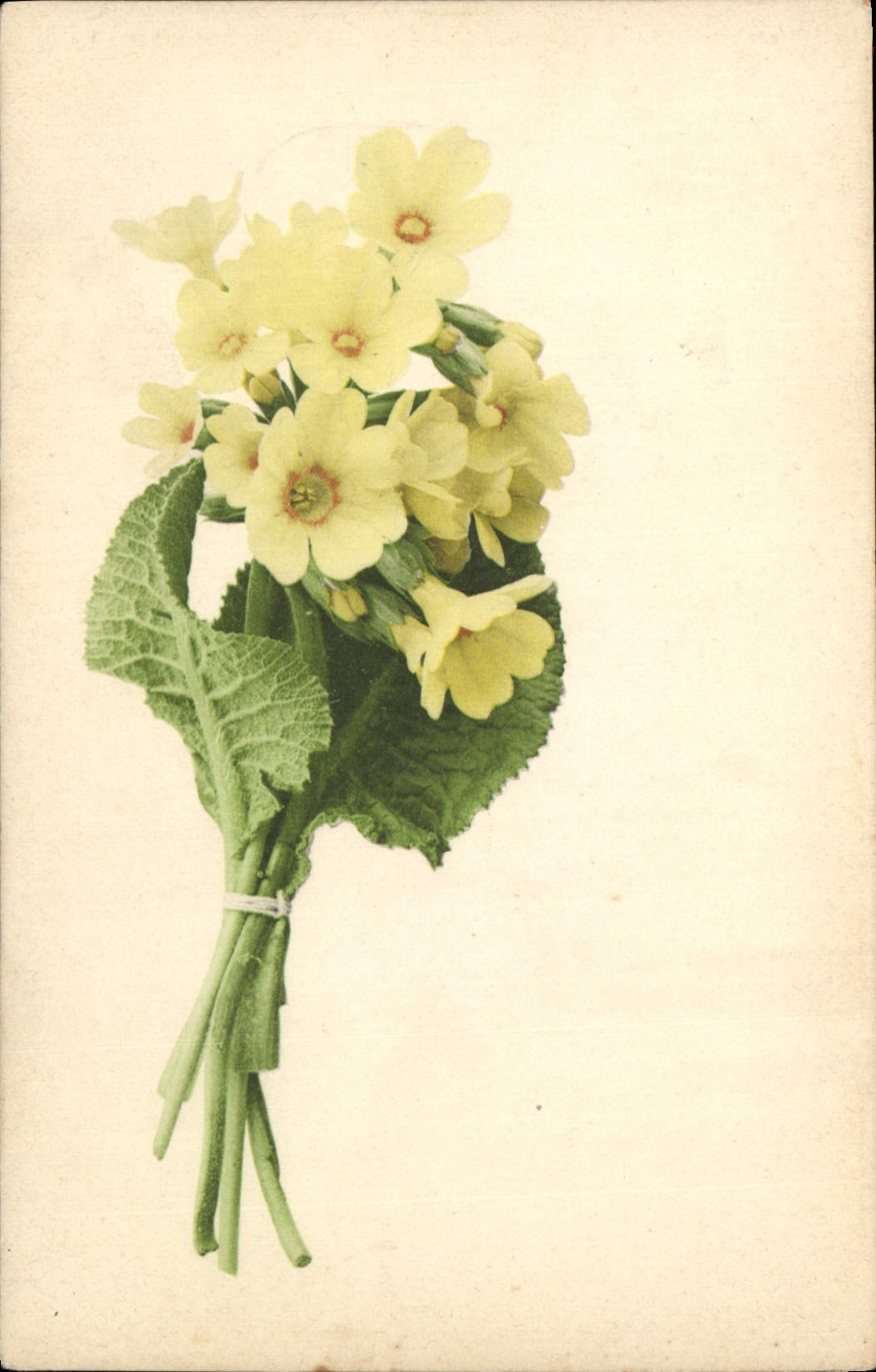 CPA Fantaisie Fleurs 