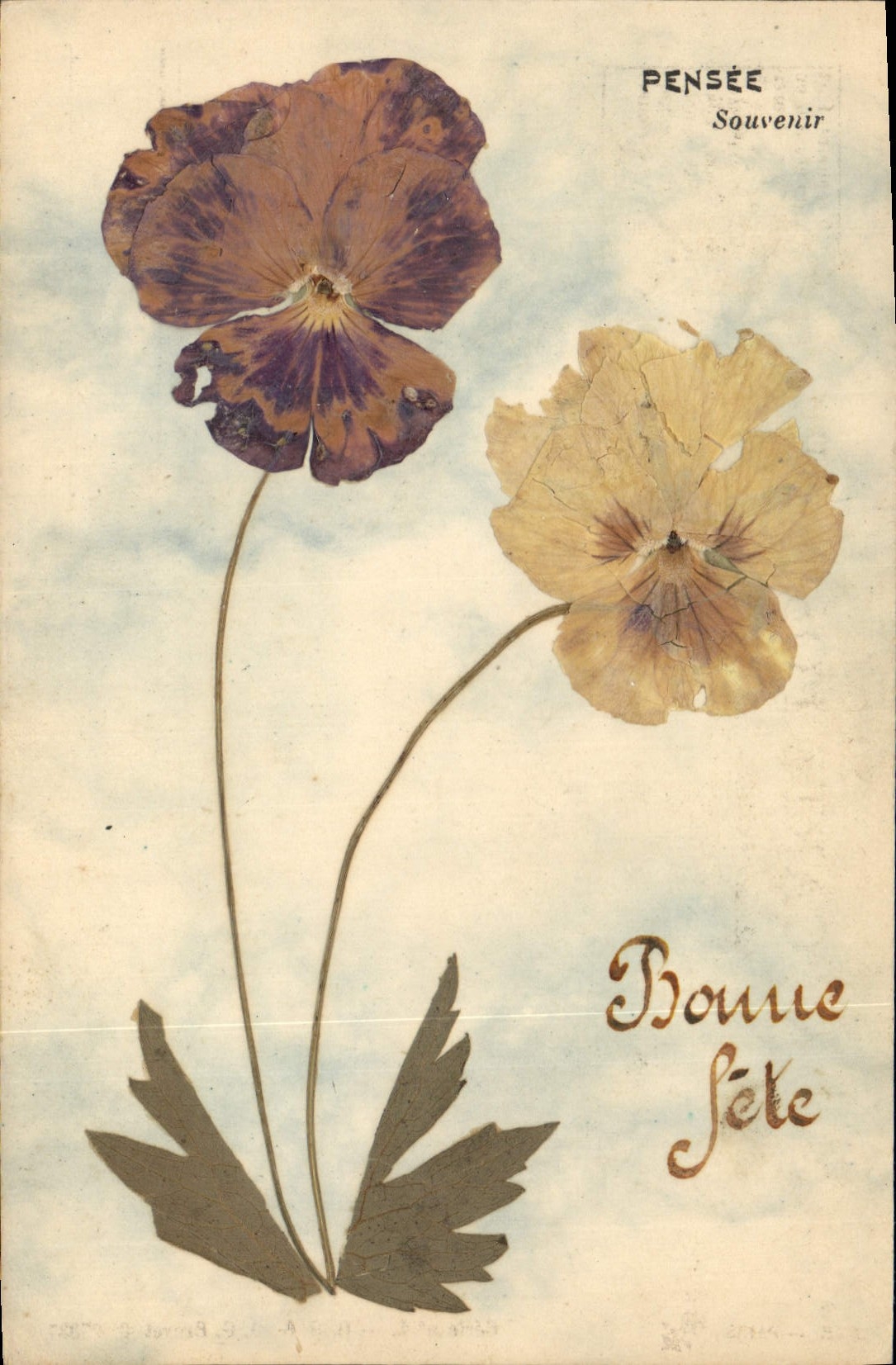 CPA Fantaisie Fleurs sechees Pensee