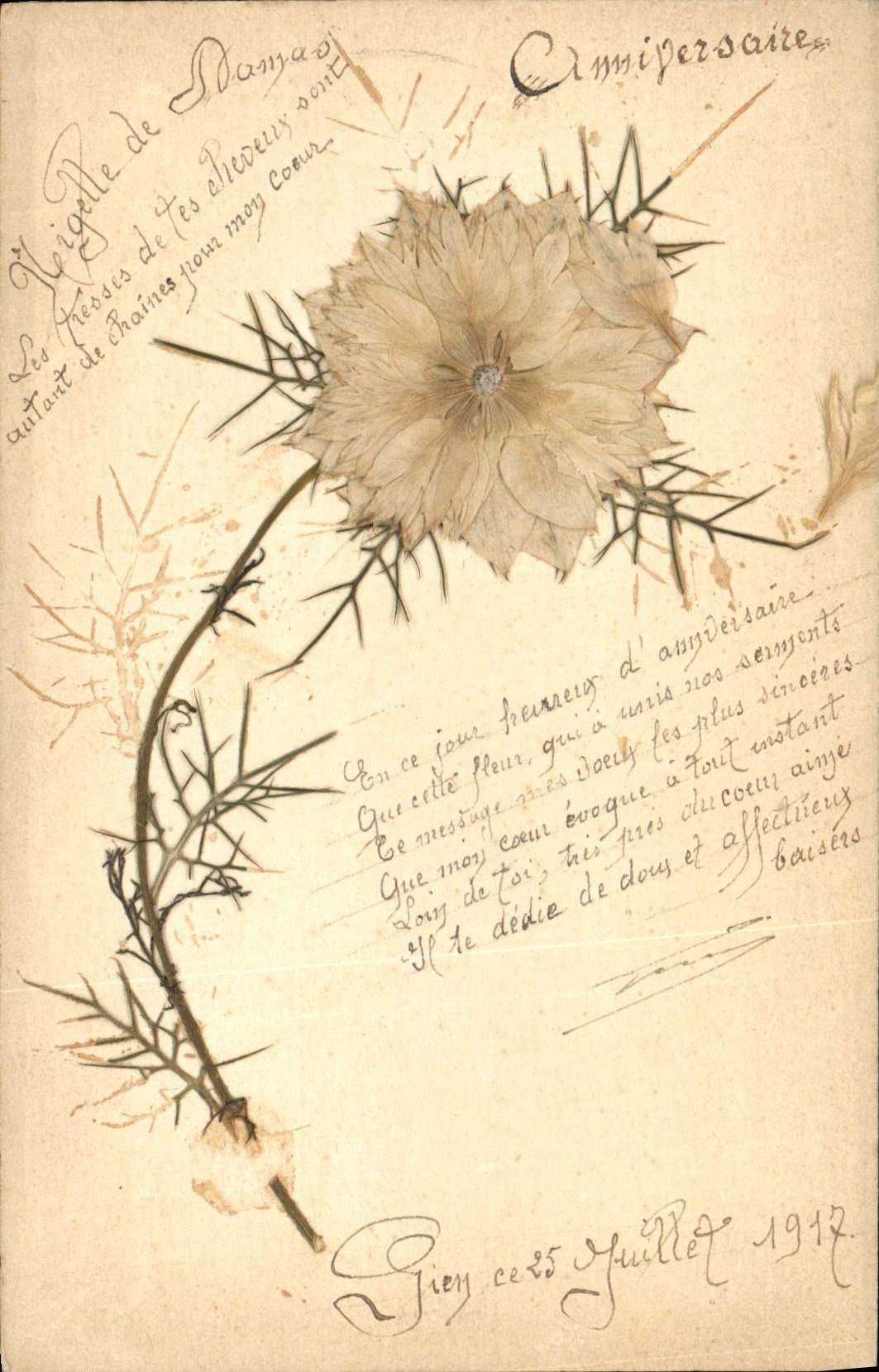 CPA Fantaisie Fleurs sechees 